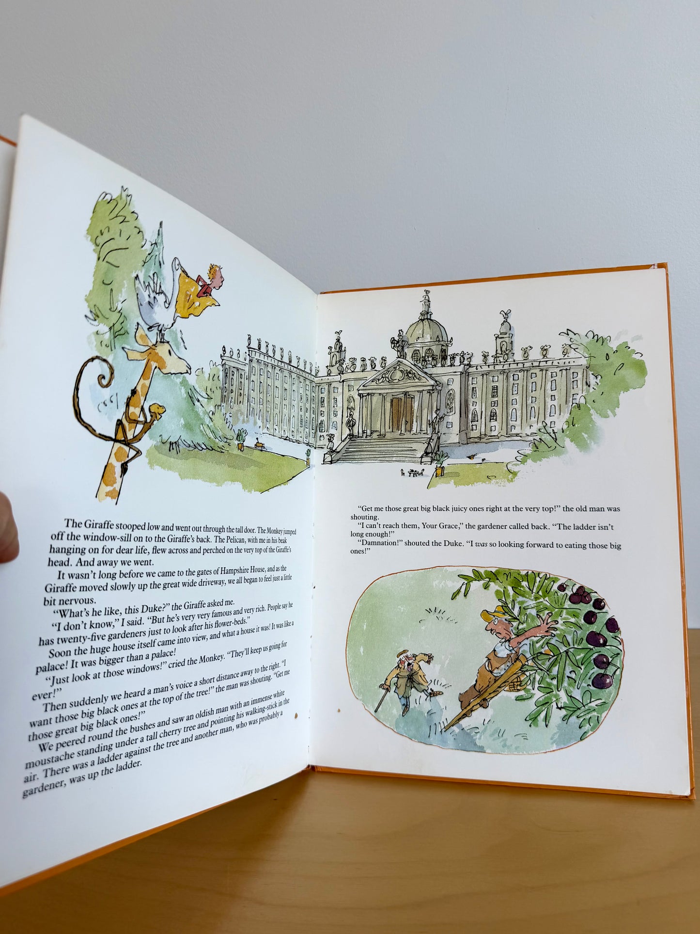 The Giraffe and the Pelly and Me Book / 5-7 years (No Shipping)
