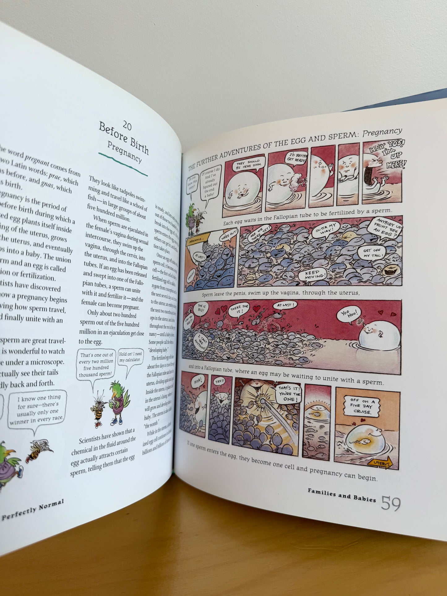 It's Perfectly Normal (Sexual Health) Book / 9-12 years (No Shipping)