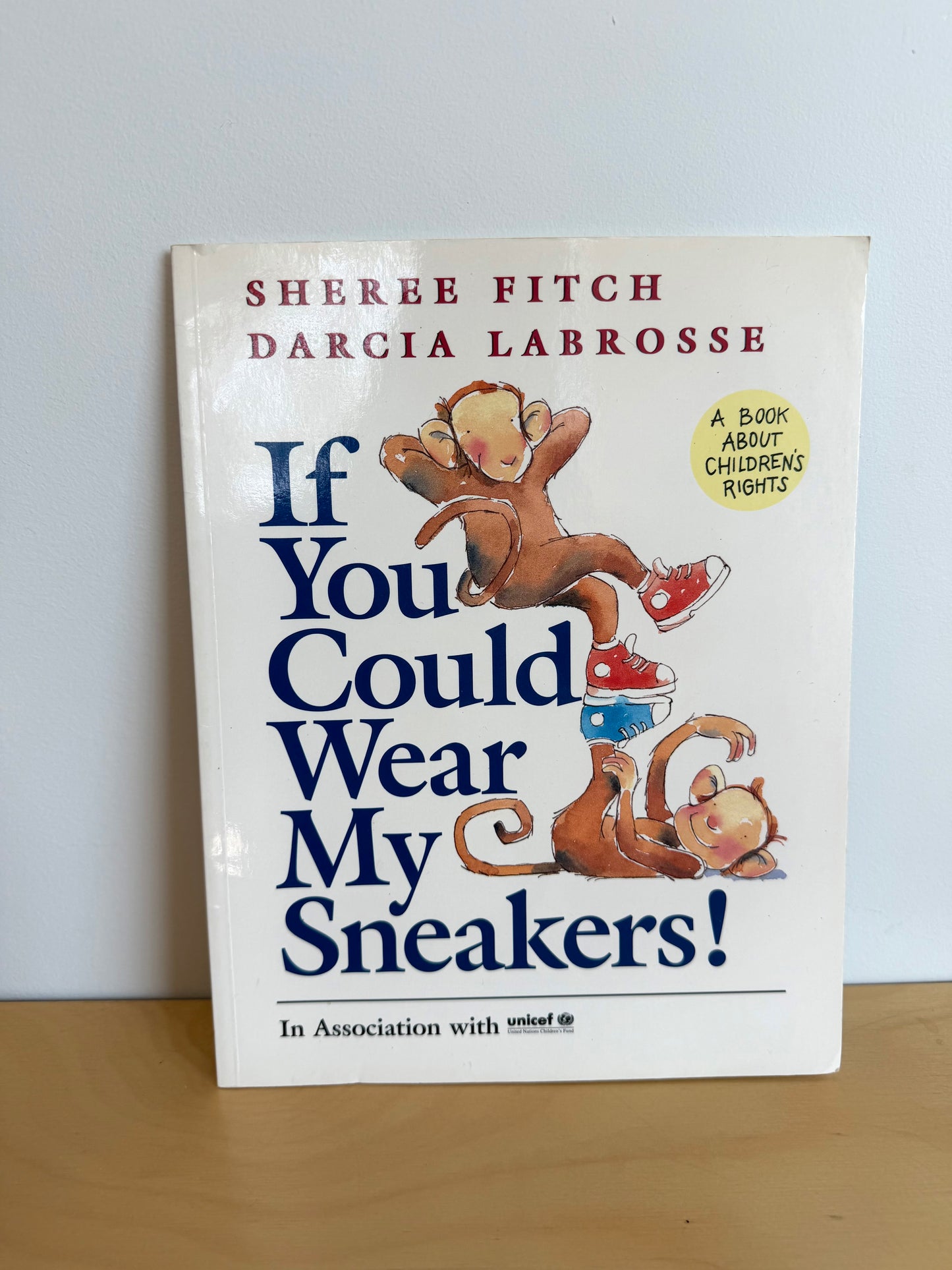 If You Could Wear My Sneakers! Book / 4-8 years