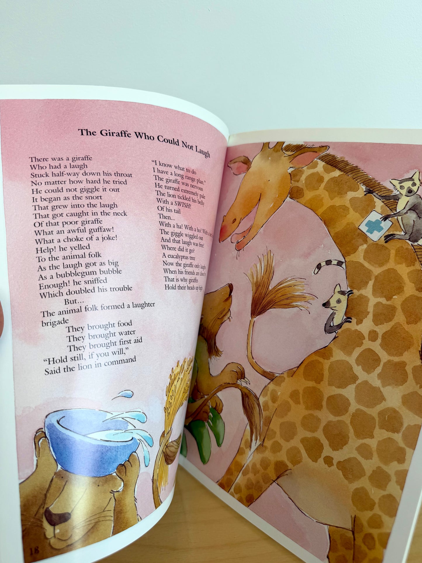 If You Could Wear My Sneakers! Book / 4-8 years