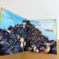 Look After Your Planet Book / 4-9 years (No Shipping)