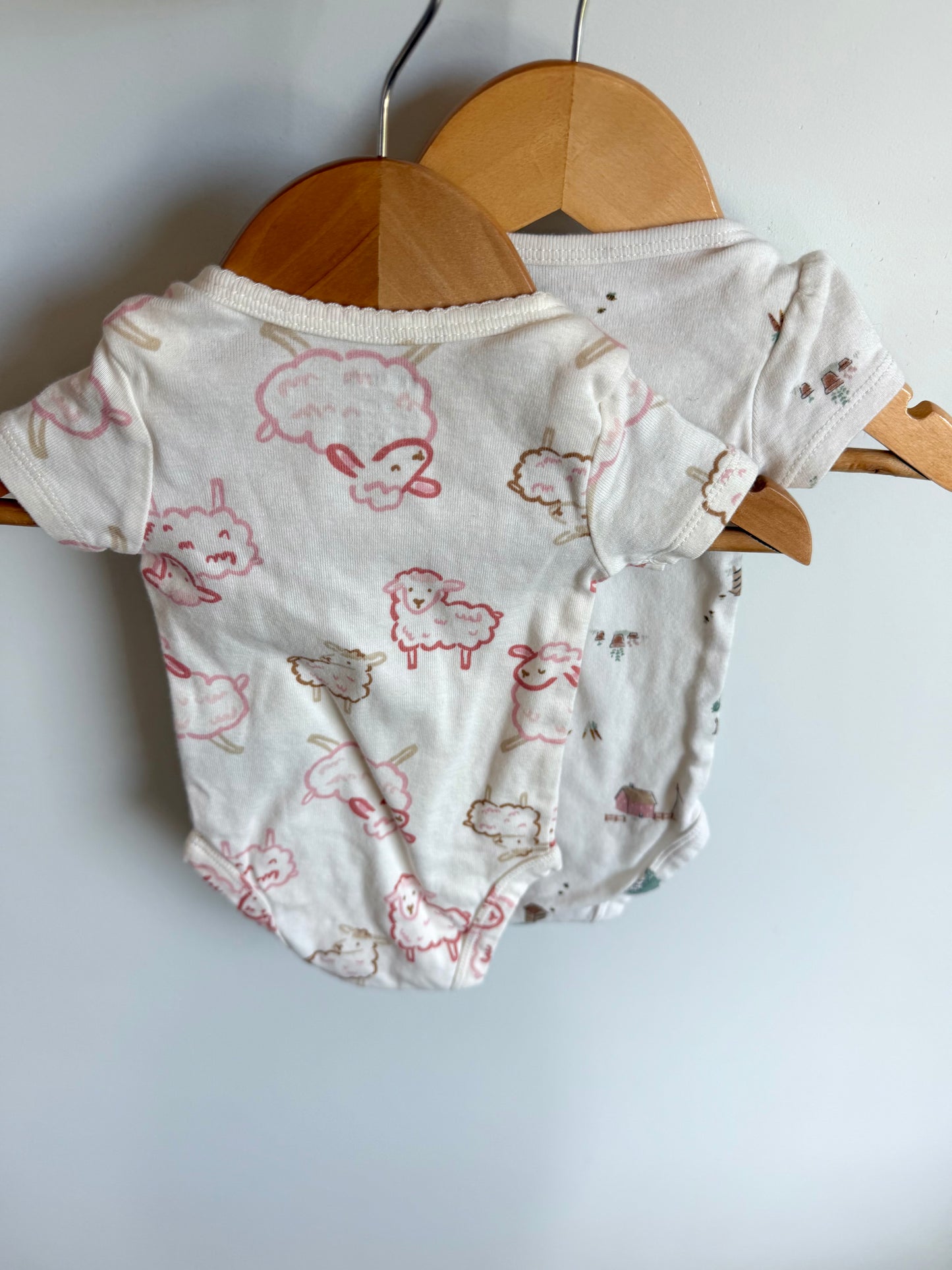 Sheep + Homestead Bodysuits (2) / 3m