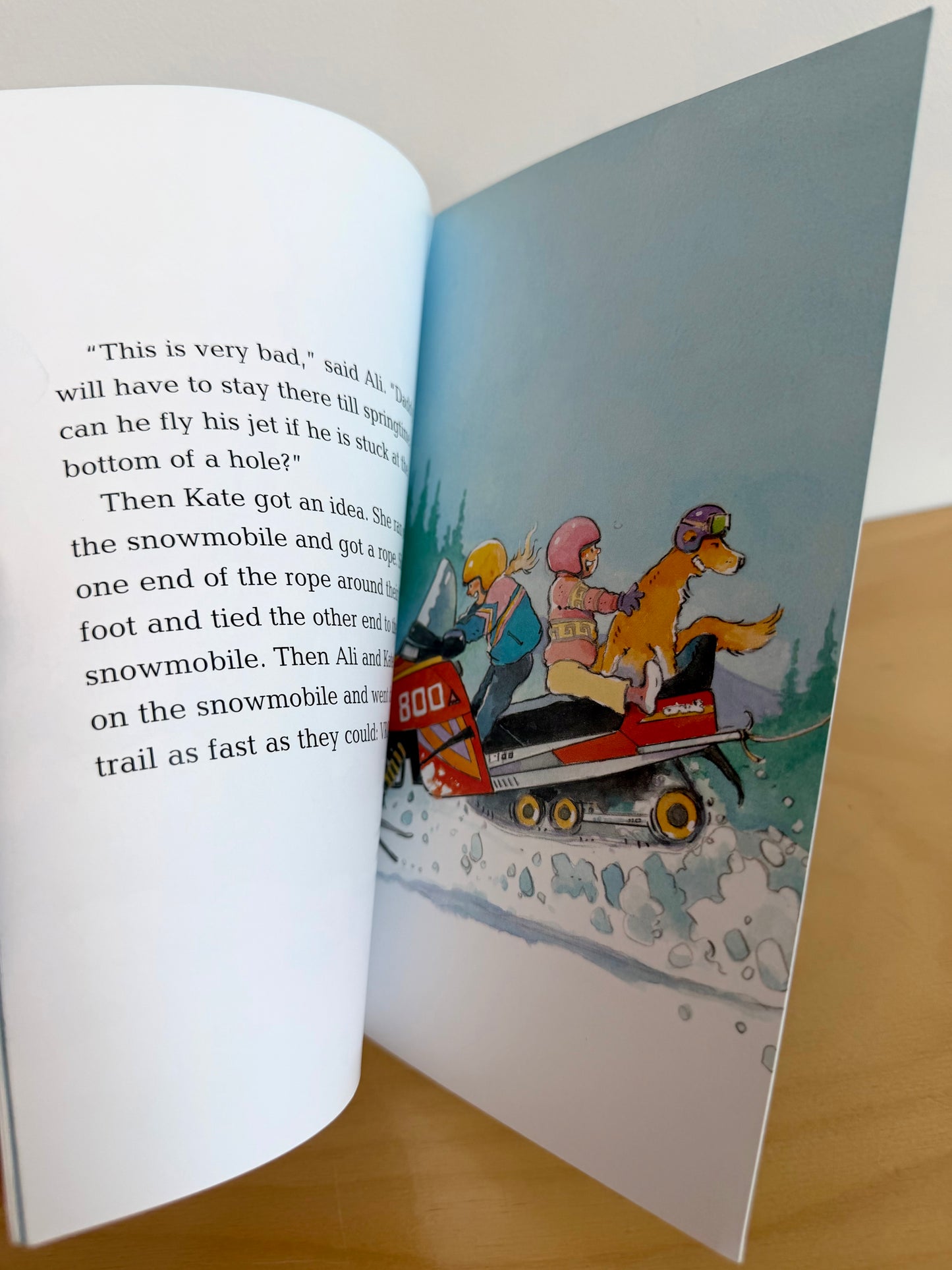 Deep Snow Book / 2-6 years