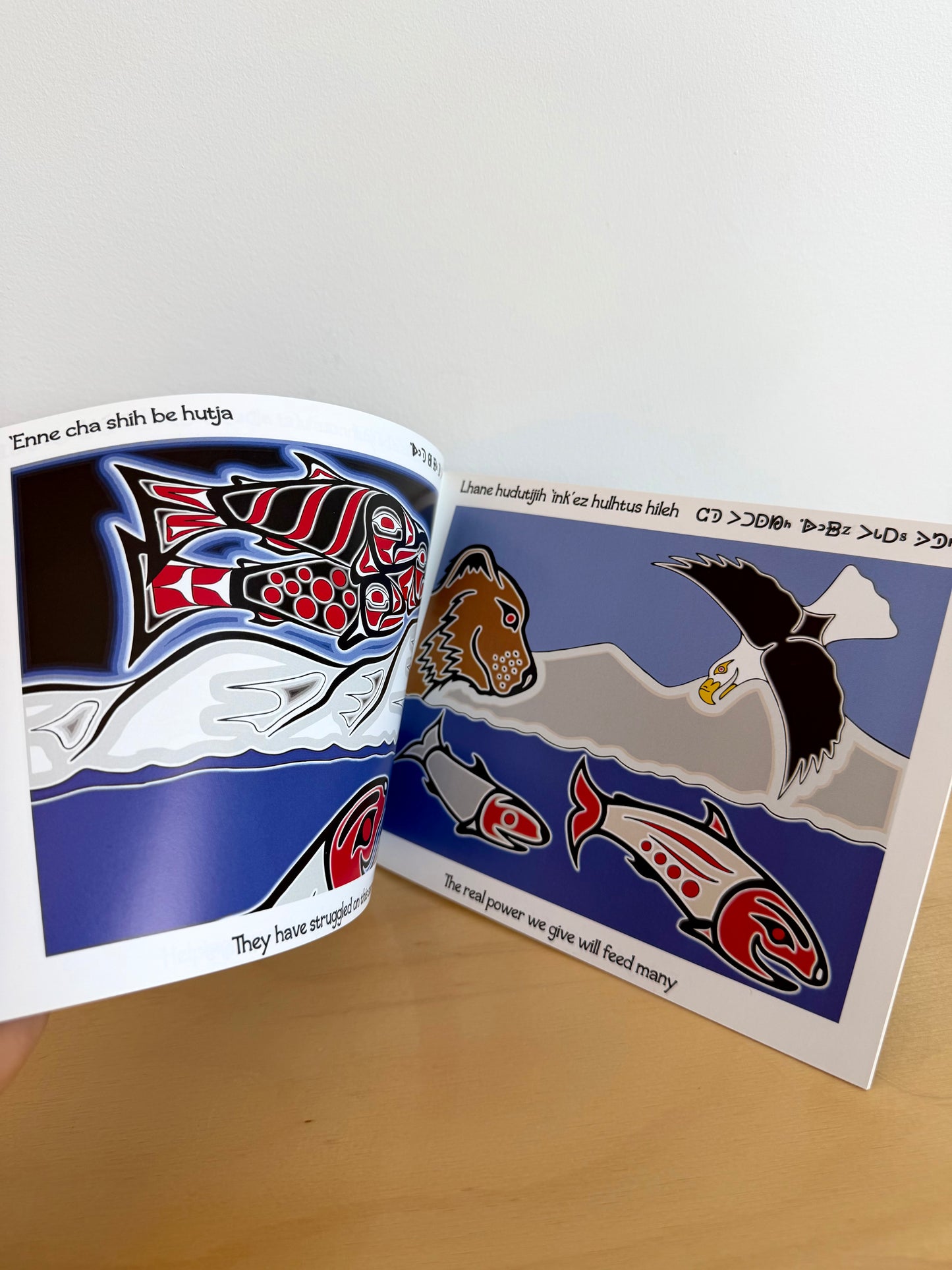 The Salmon Run Book / 1-3 years