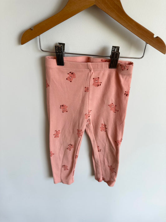 Teddy Bear Leggings / 24m