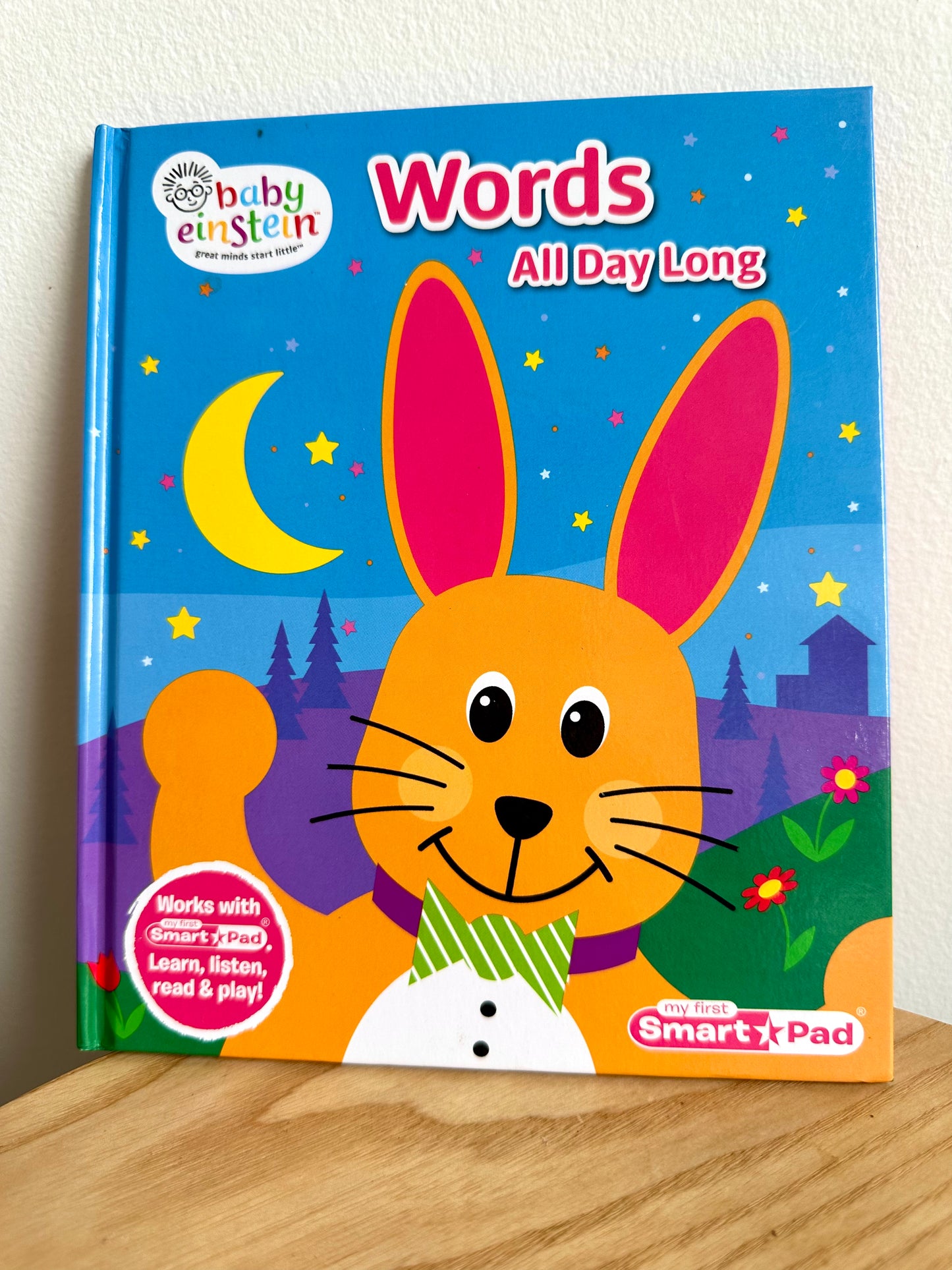 Words All Day Long Book / 1-4 years