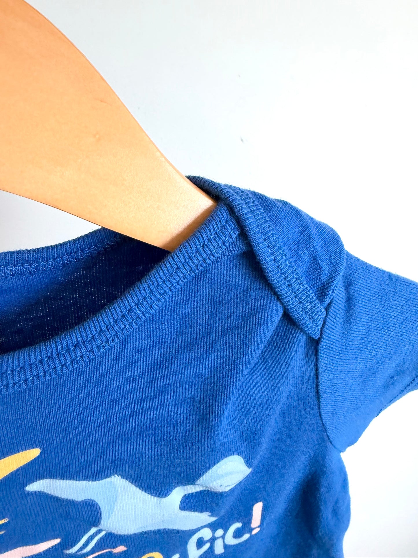 I'm Pterrific Bodysuit / 24m