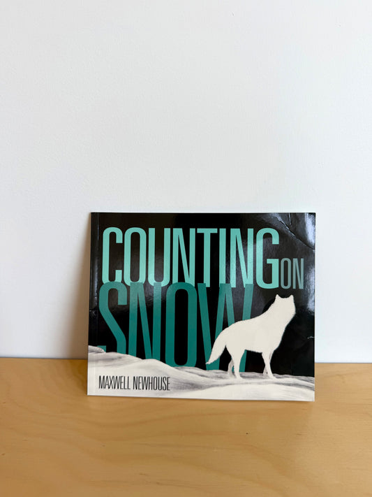Counting On Snow Book / 0-2 years