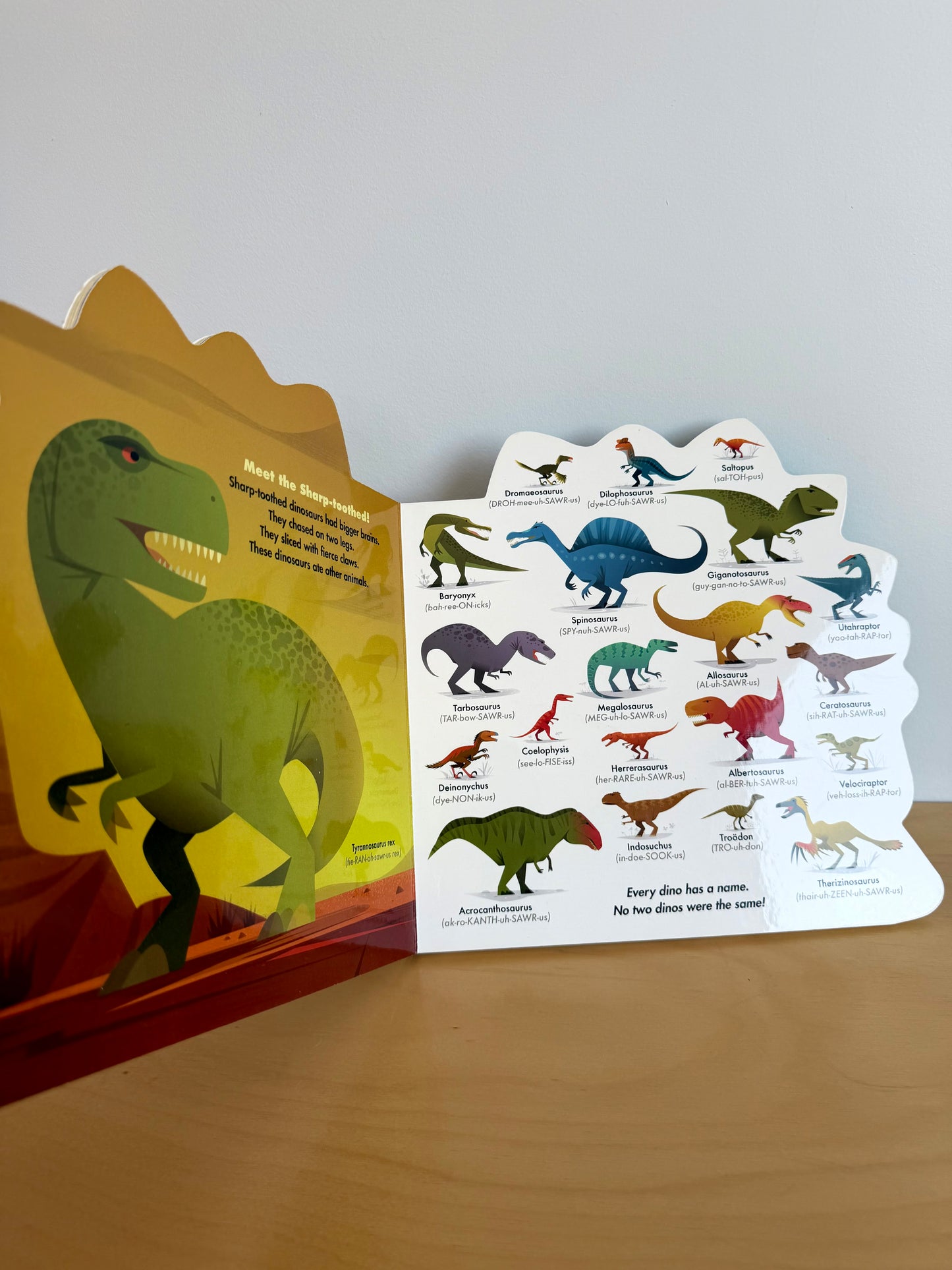 101 Dinosaurs and Other Prehistoric Reptiles Book / 0-3 years (No Shipping)