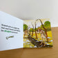The Paper Bag Princess Book / 2-5 years