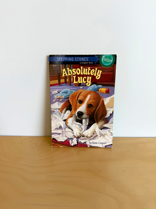 Absolutely Lucy Book / 6-9 years