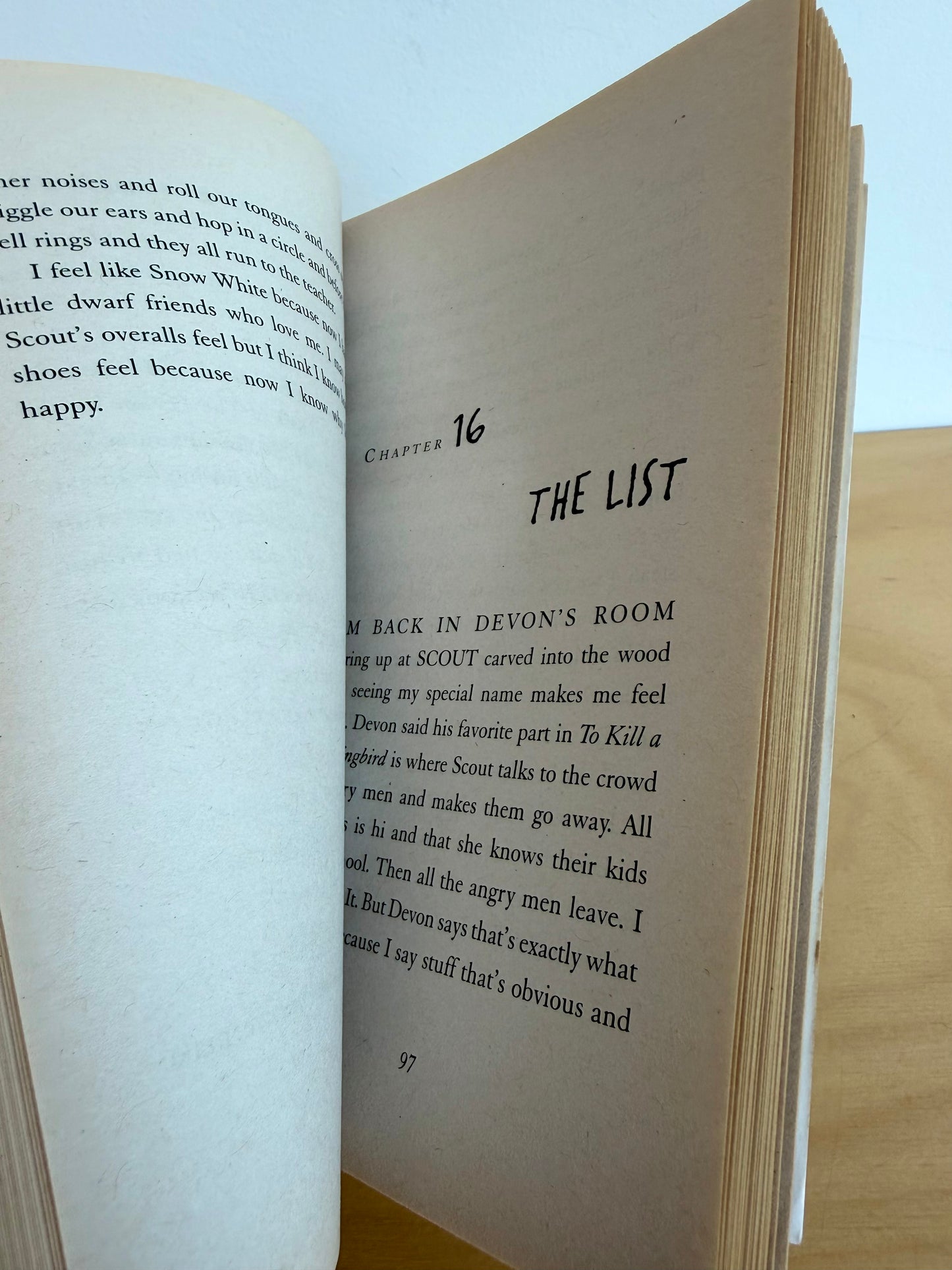 Mockingbird Book / 10-12 years