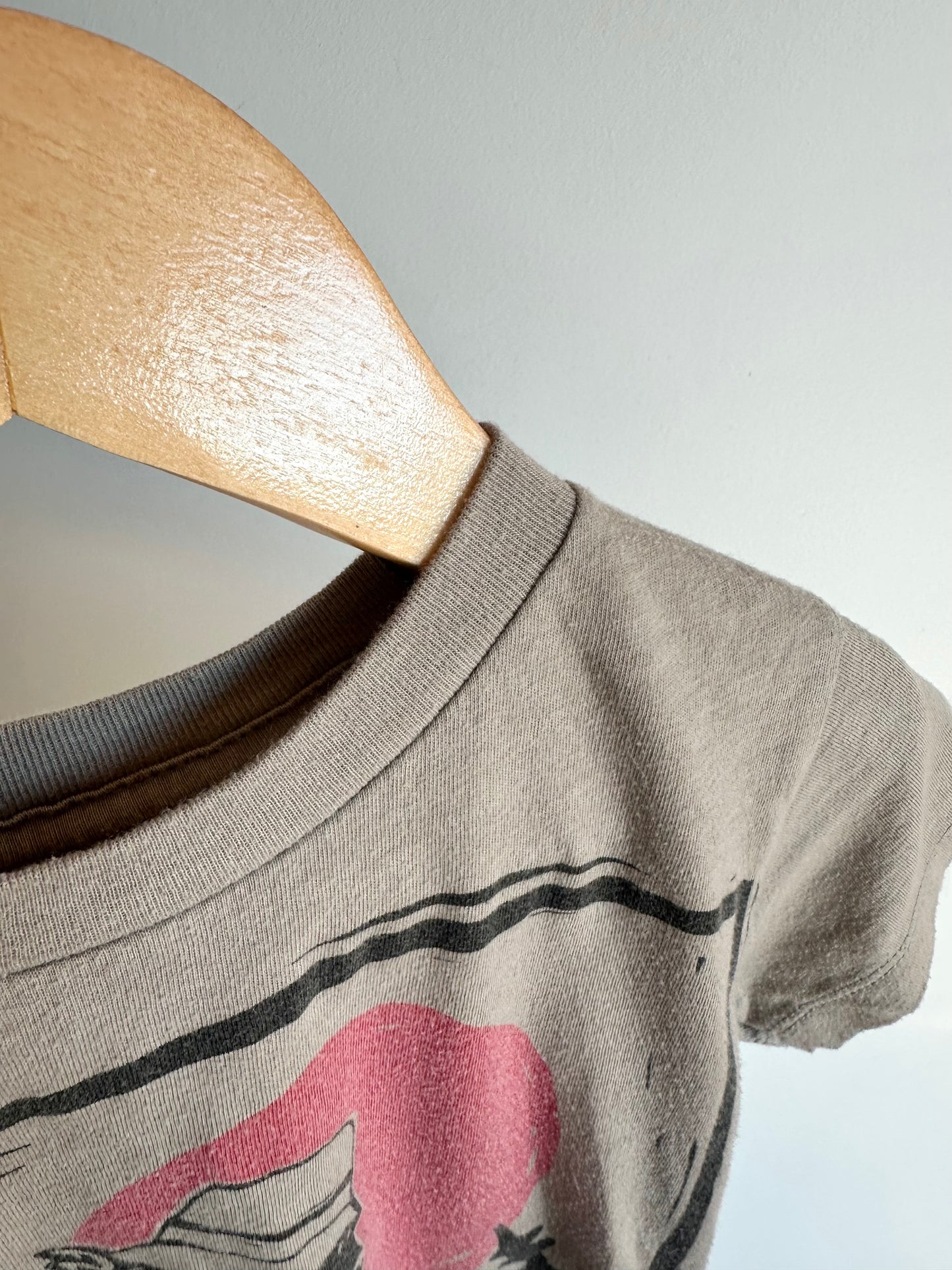 Hikezilla T-shirt / 2T