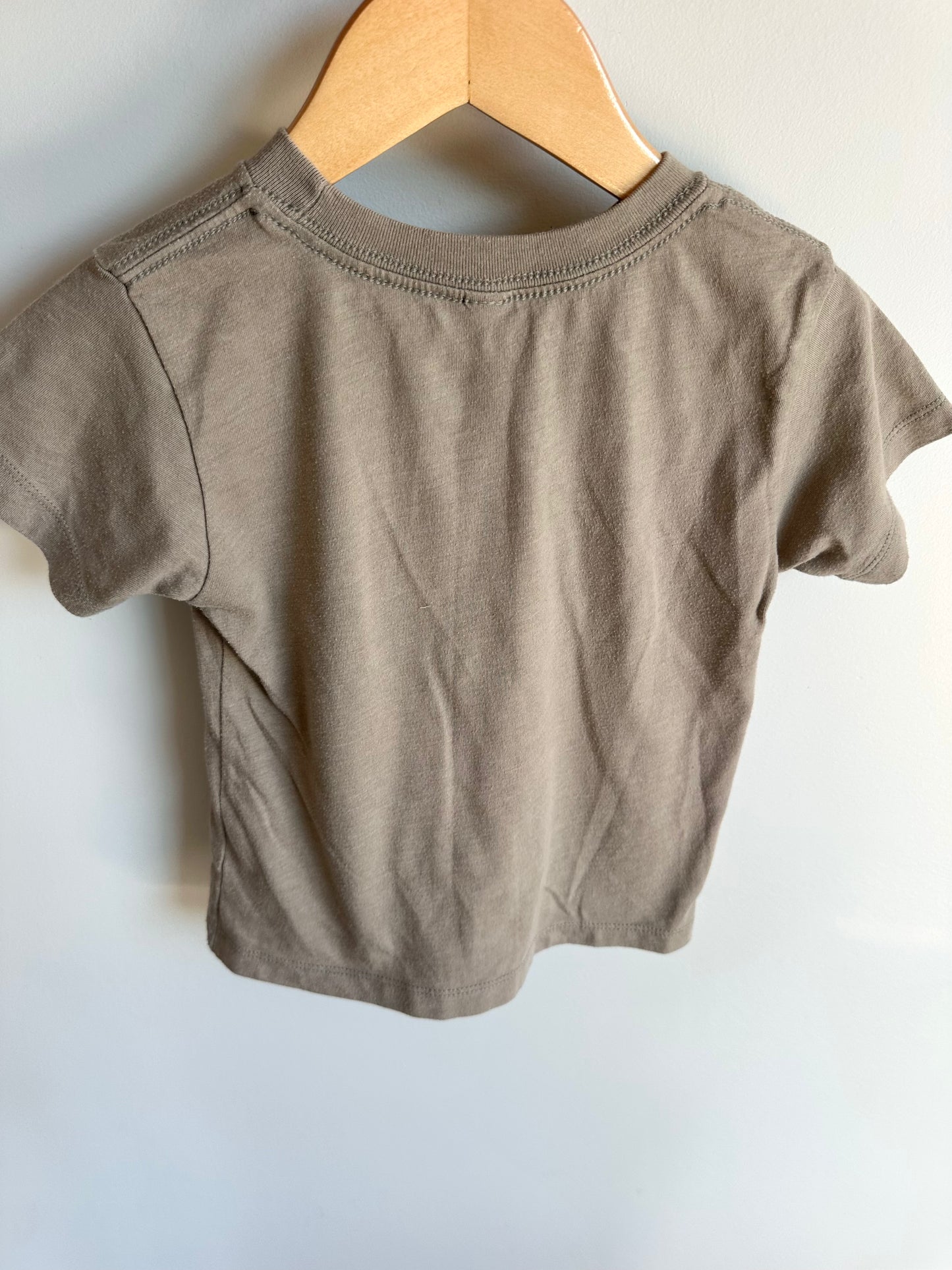 Hikezilla T-shirt / 2T