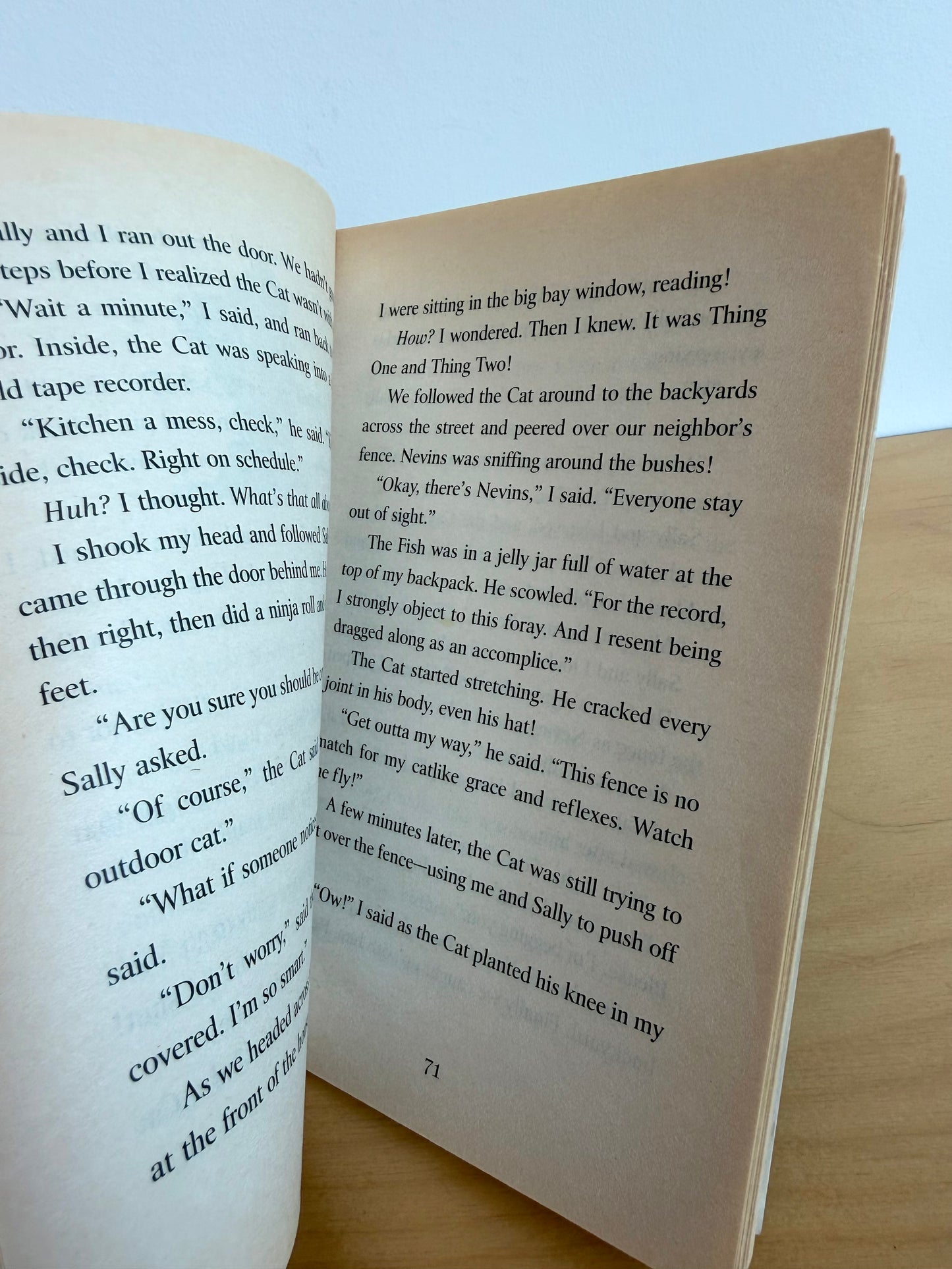 The Cat in the Hat Novel Book / 8-12 years