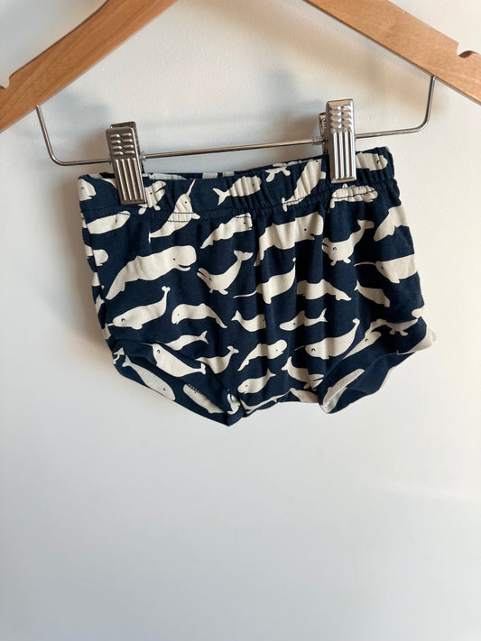 Teddy Little Whale Shorties / 2T
