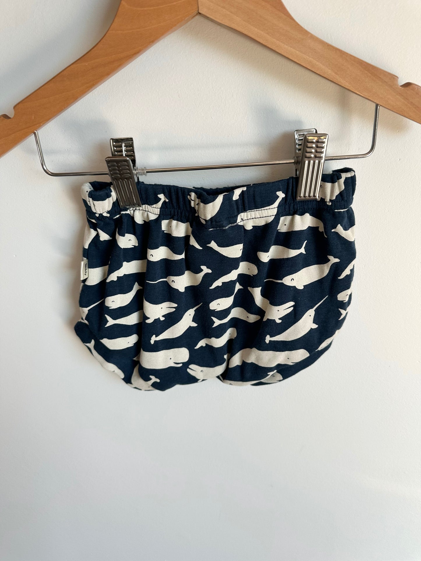 Teddy Little Whale Shorties / 2T