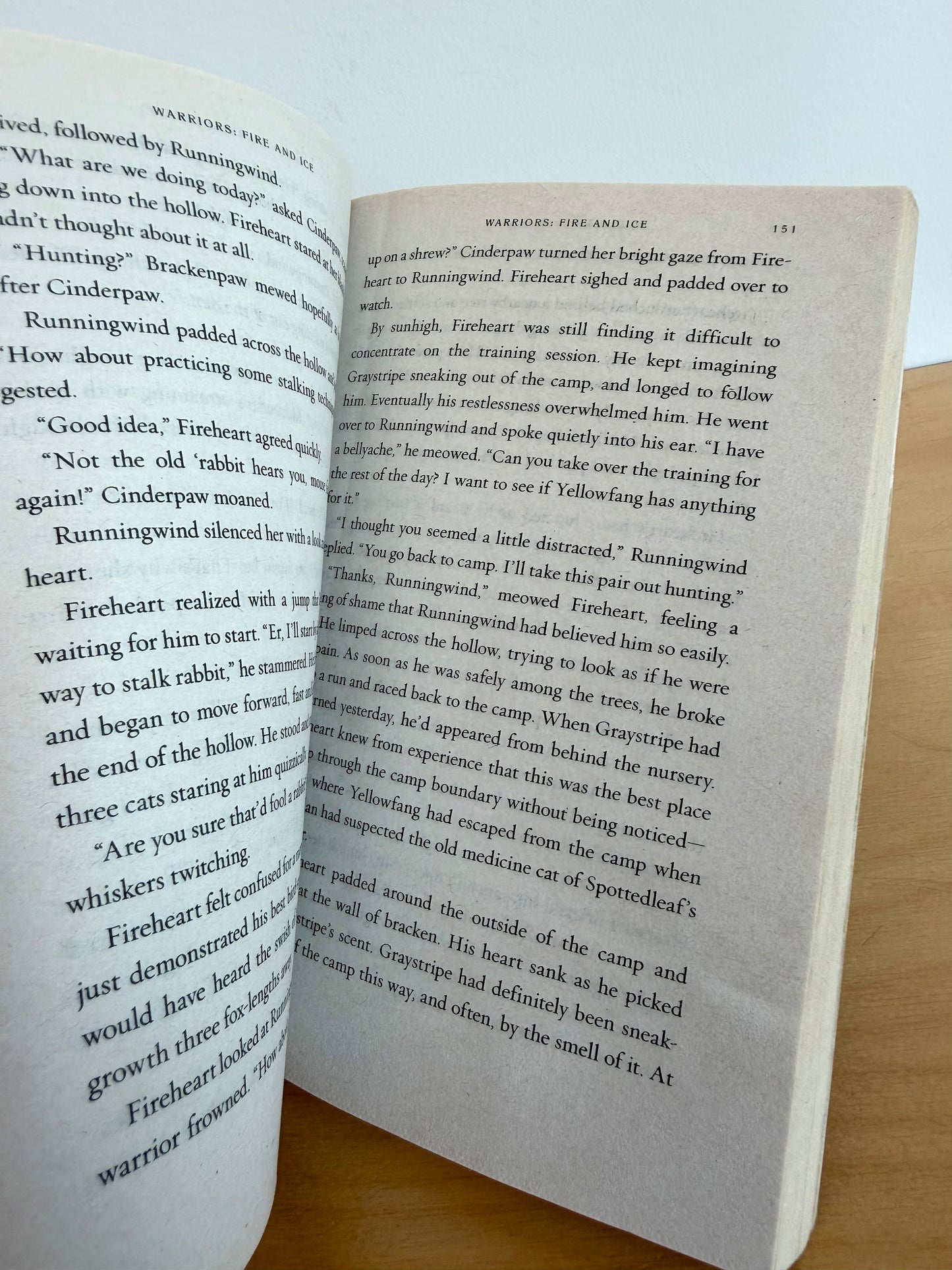 Warriors: Fire and Ice Book / 8-12 years