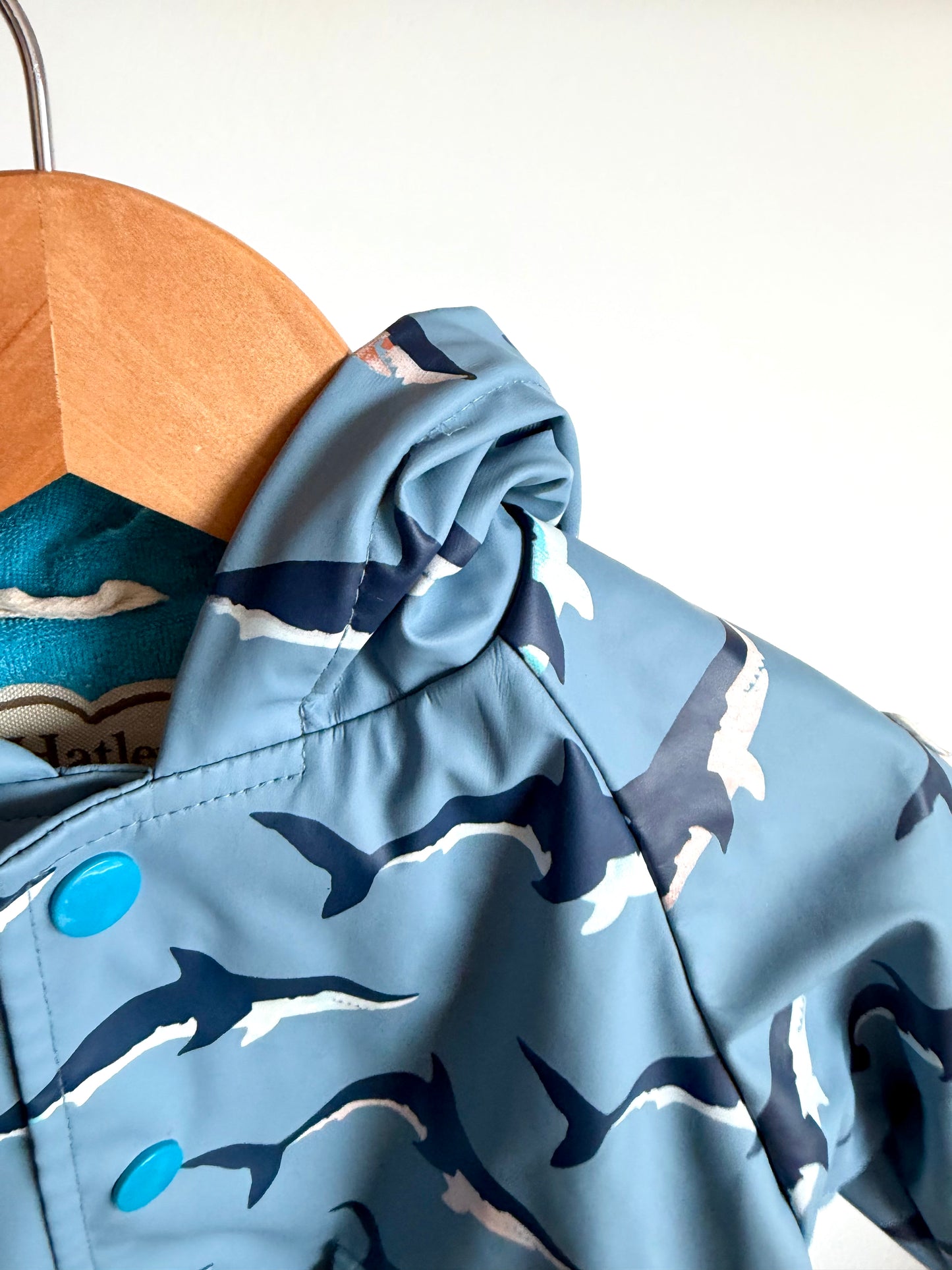Hatley Colour Changing Blue Shark Rain Jacket / 12-18m