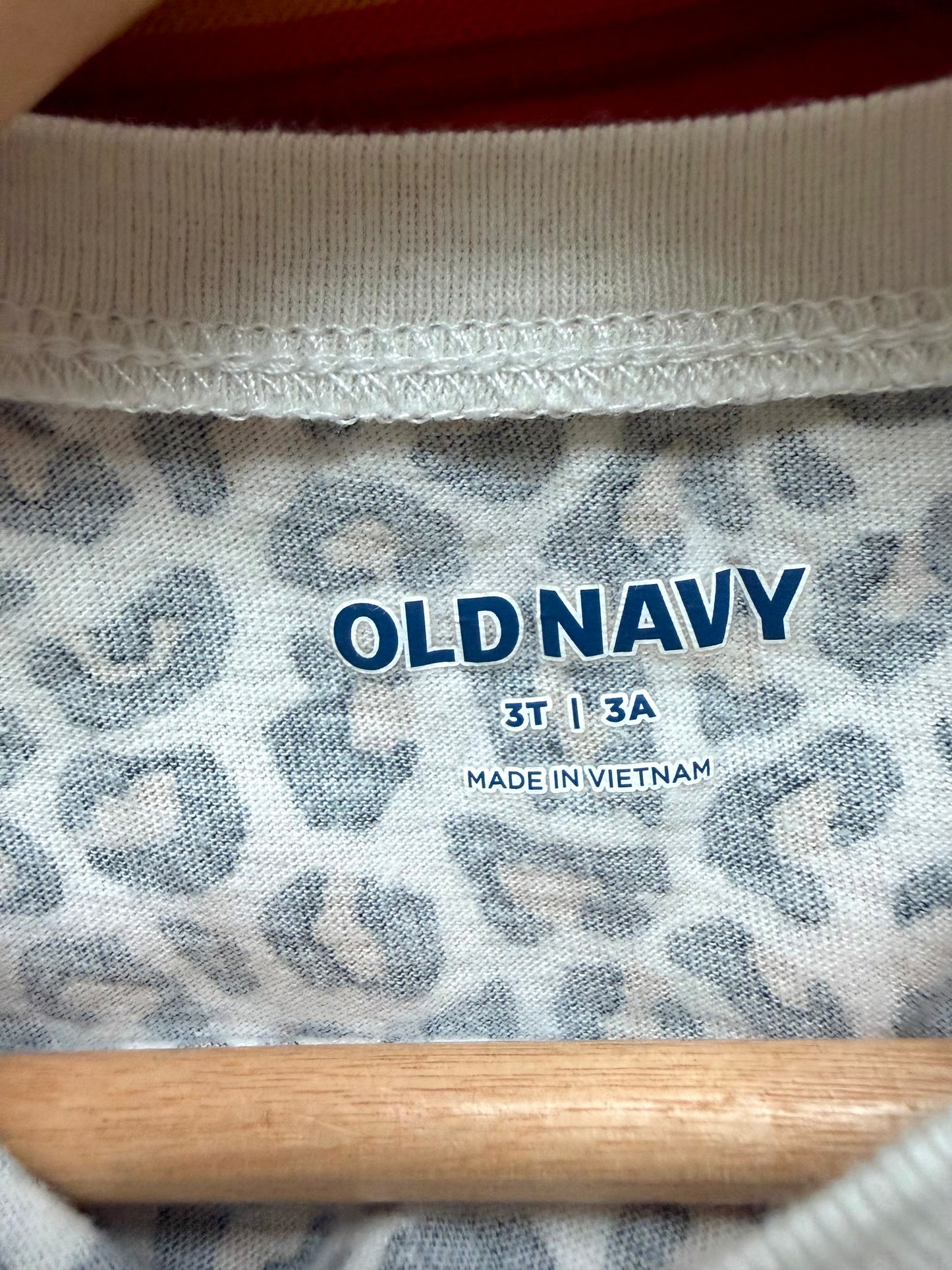 Animal Print Dress / 3T