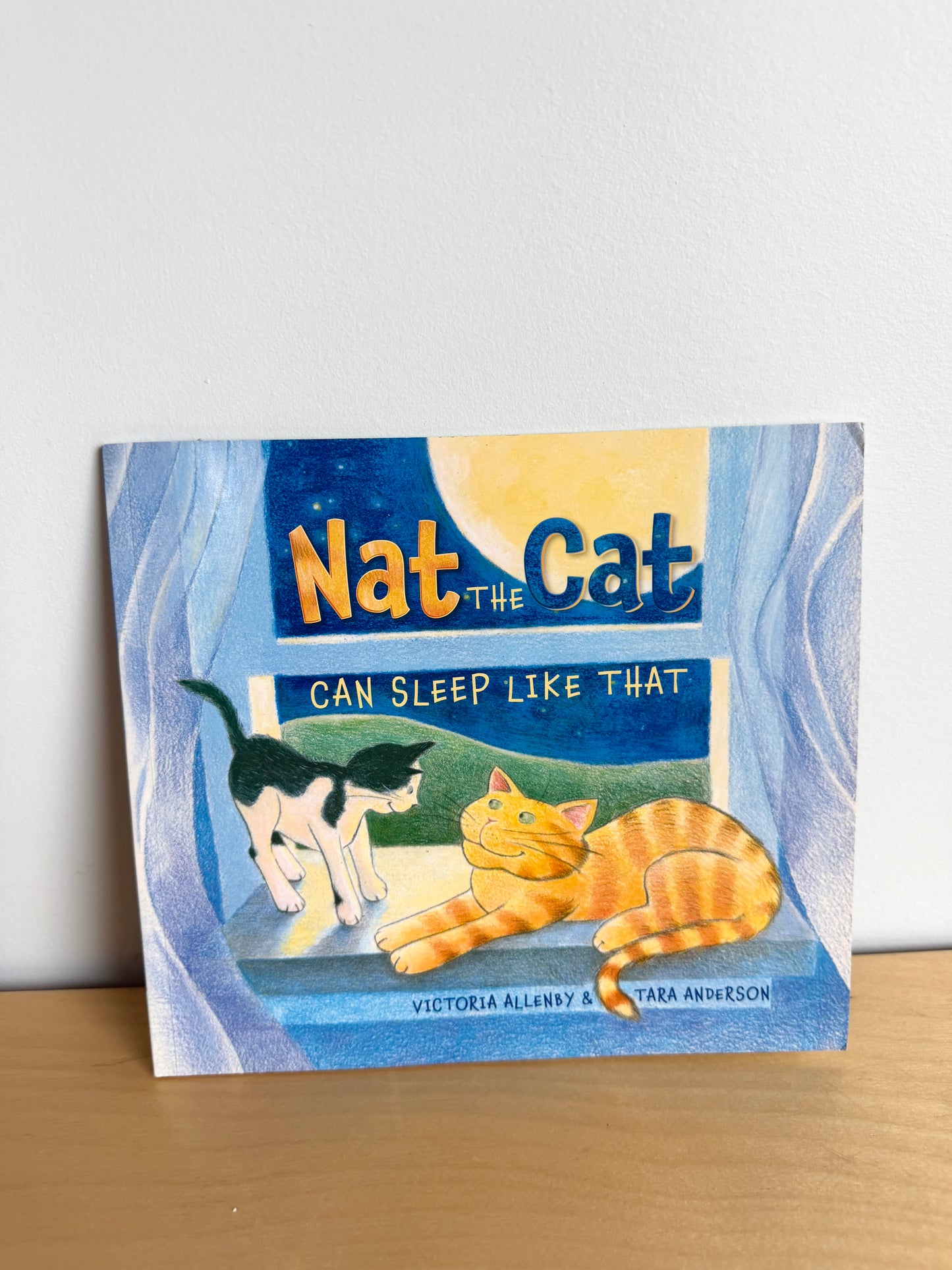 Nat the Cat Softcover Book / 3-5 years