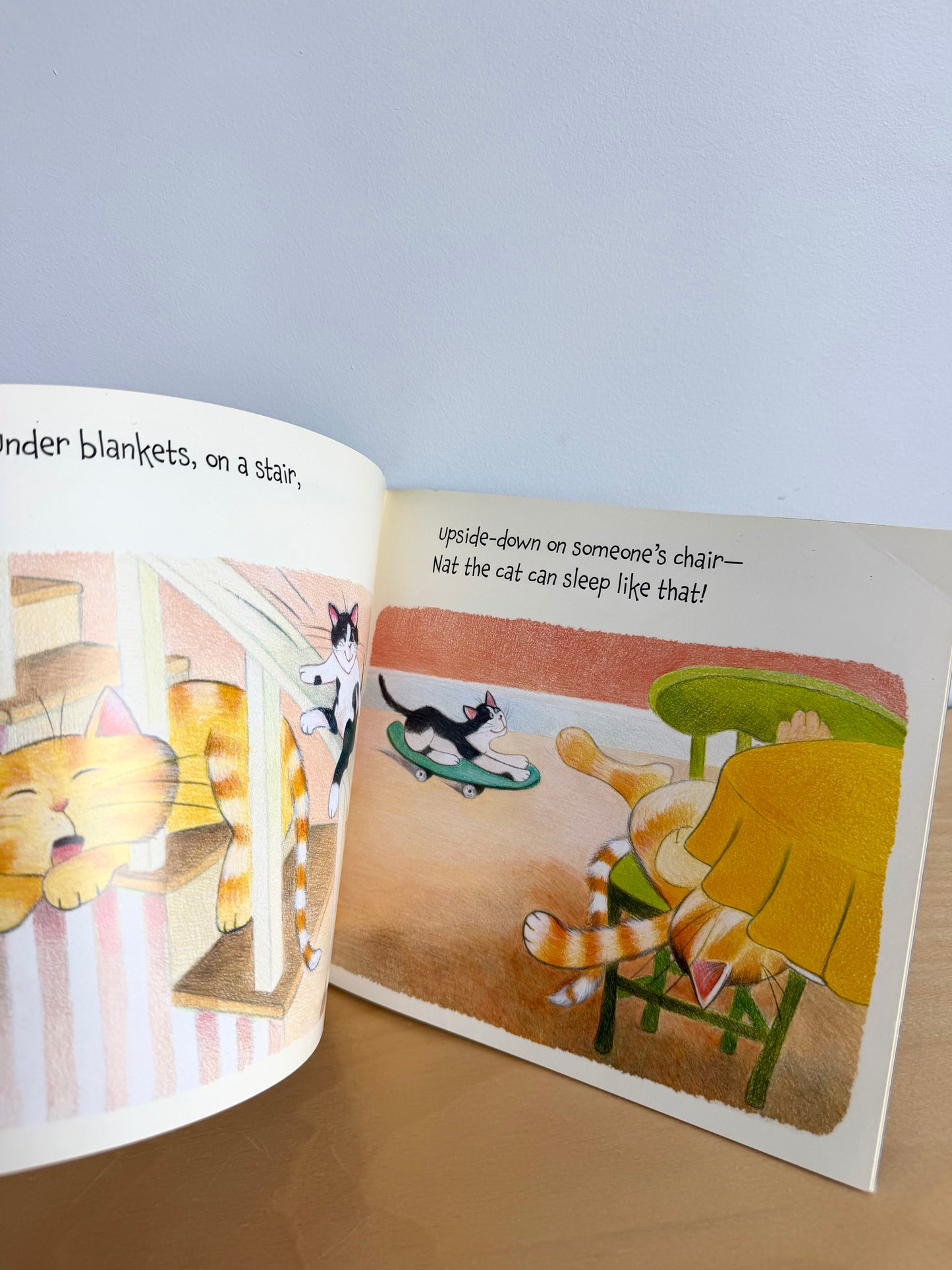 Nat the Cat Softcover Book / 3-5 years