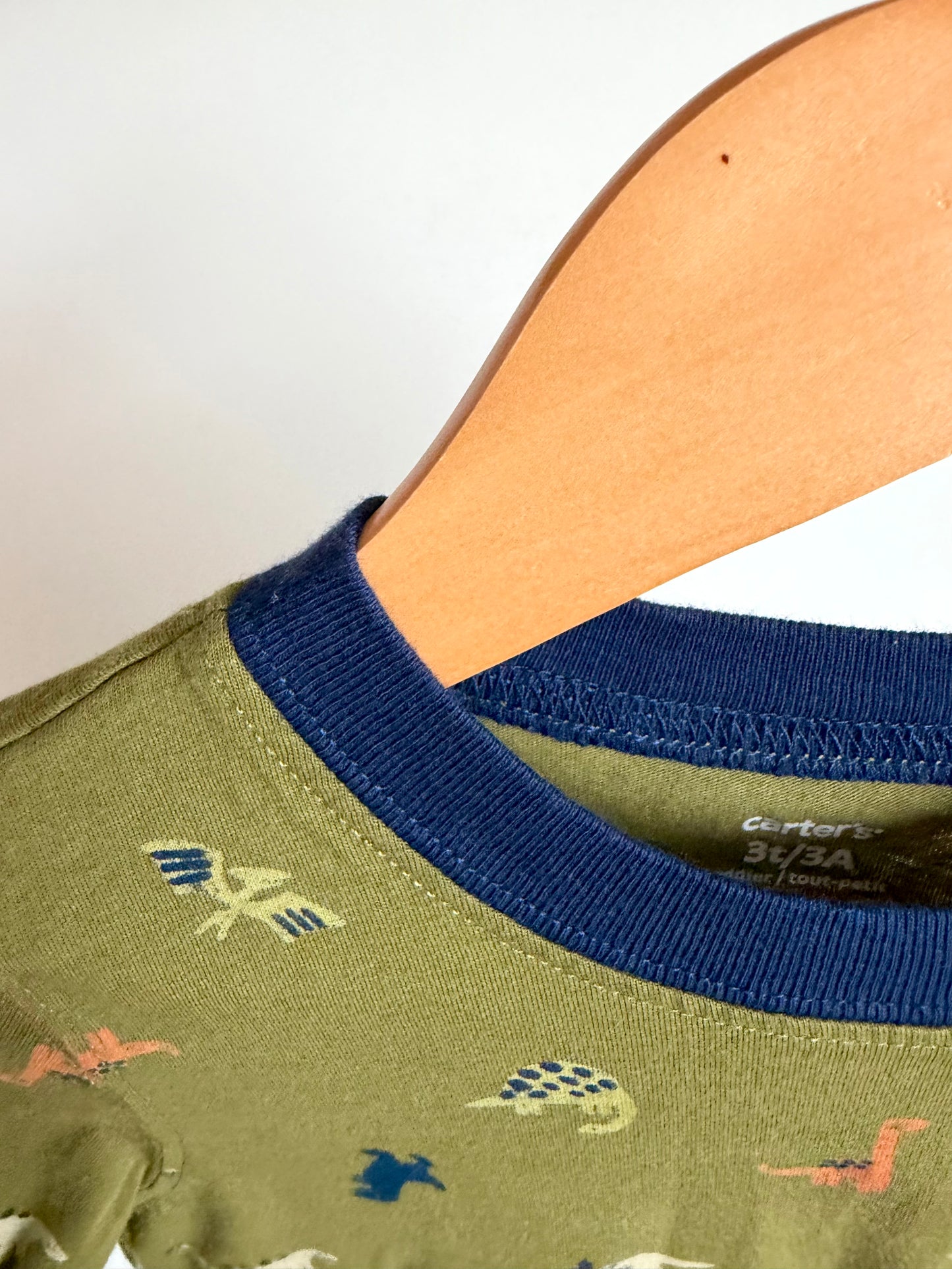 Green Dino Pattern Long Sleeve Top / 3T