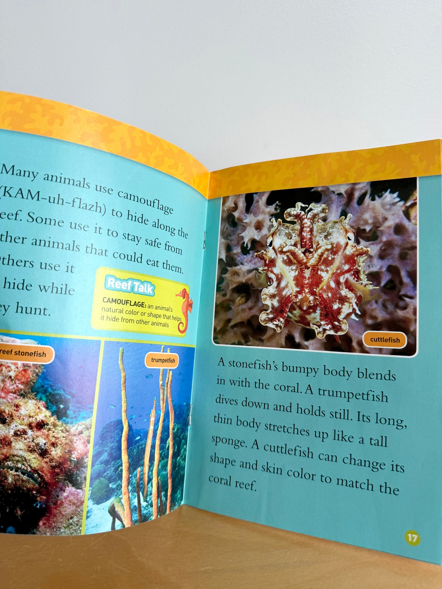 Coral Reefs Book / 2-6 years