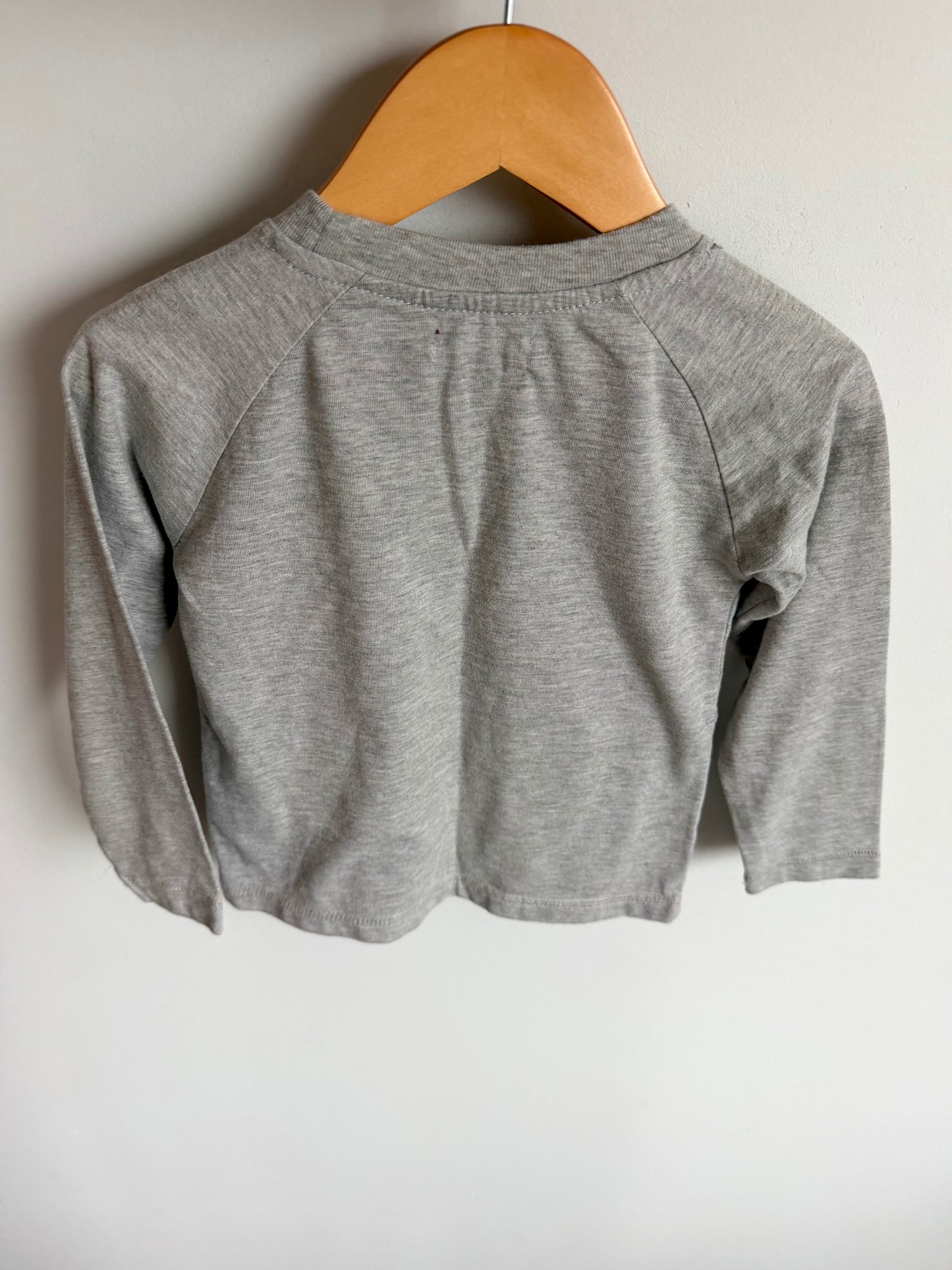 Grey Long Sleeve Top / 3T