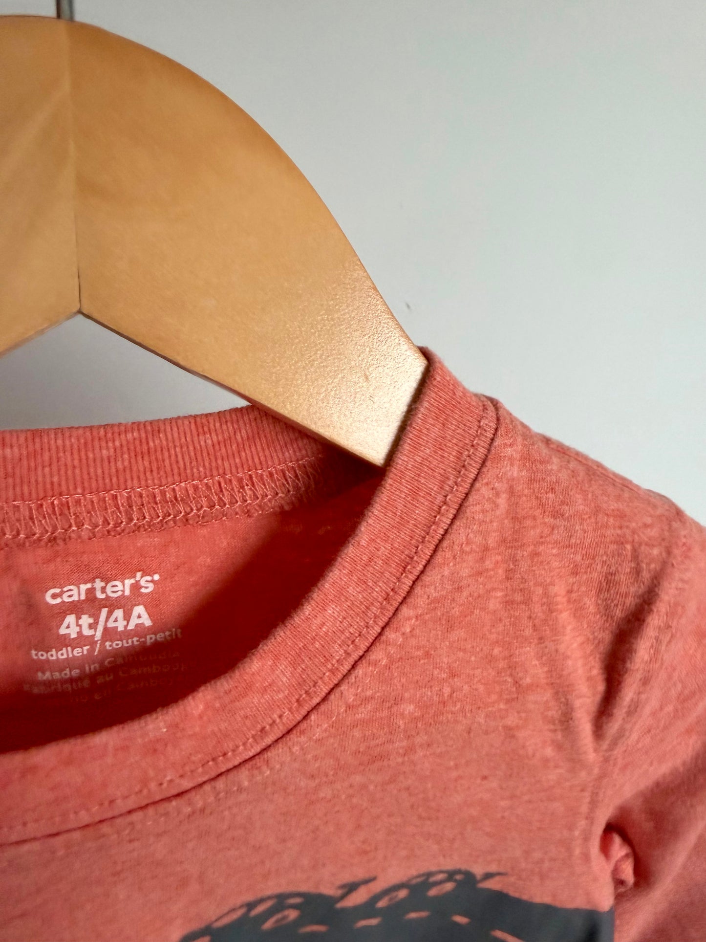 Car Sloth Top / 4T