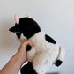 Cow Stuffy Toy