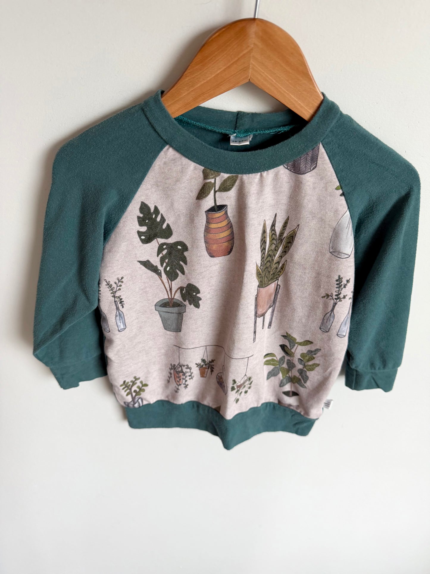 House Plant Top / 18-24m