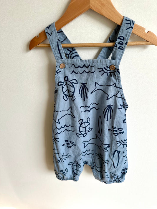 Beach Short Overalls / 24m