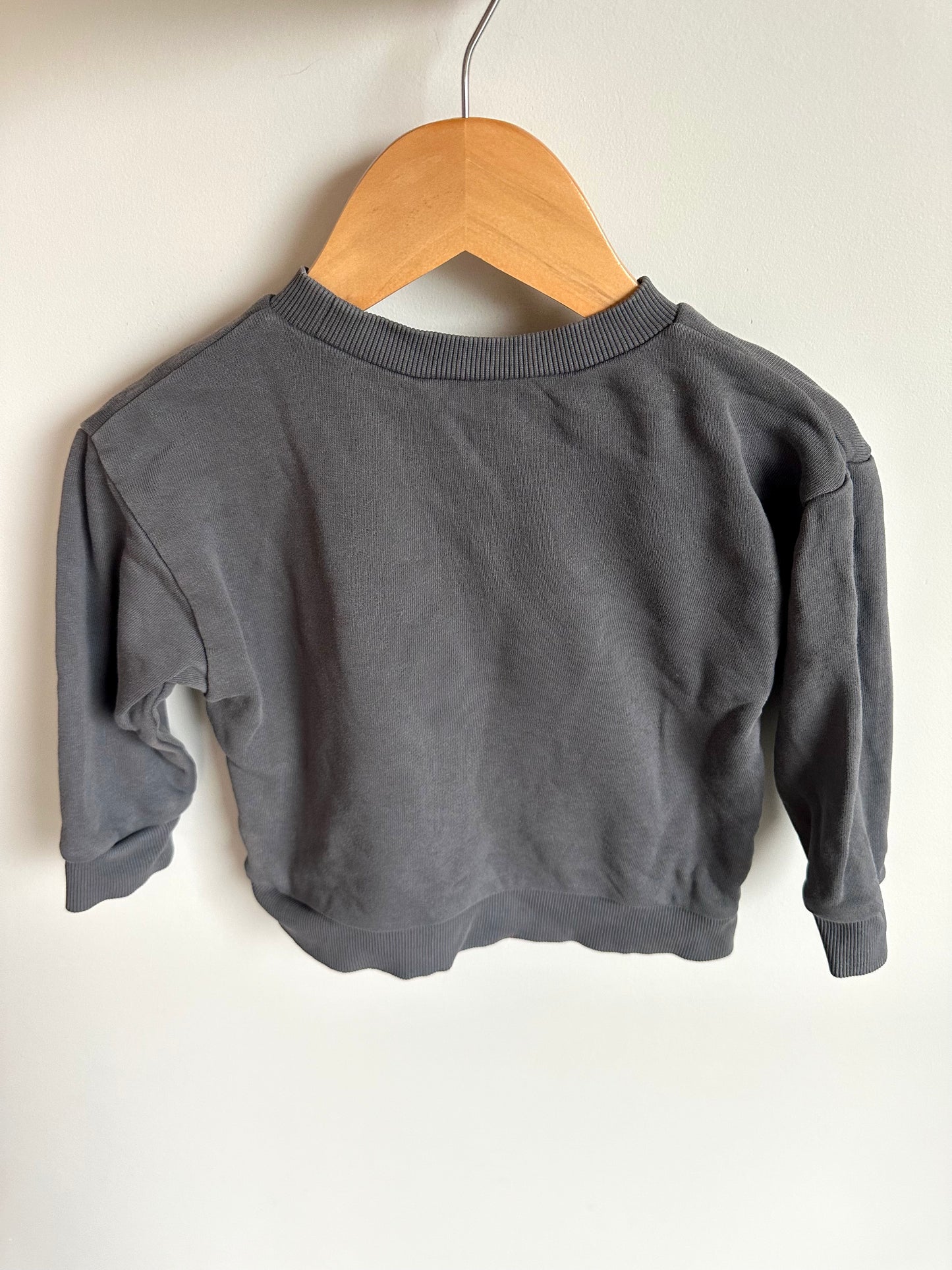 Bonds Pterodactyl Sweater / 12-18m