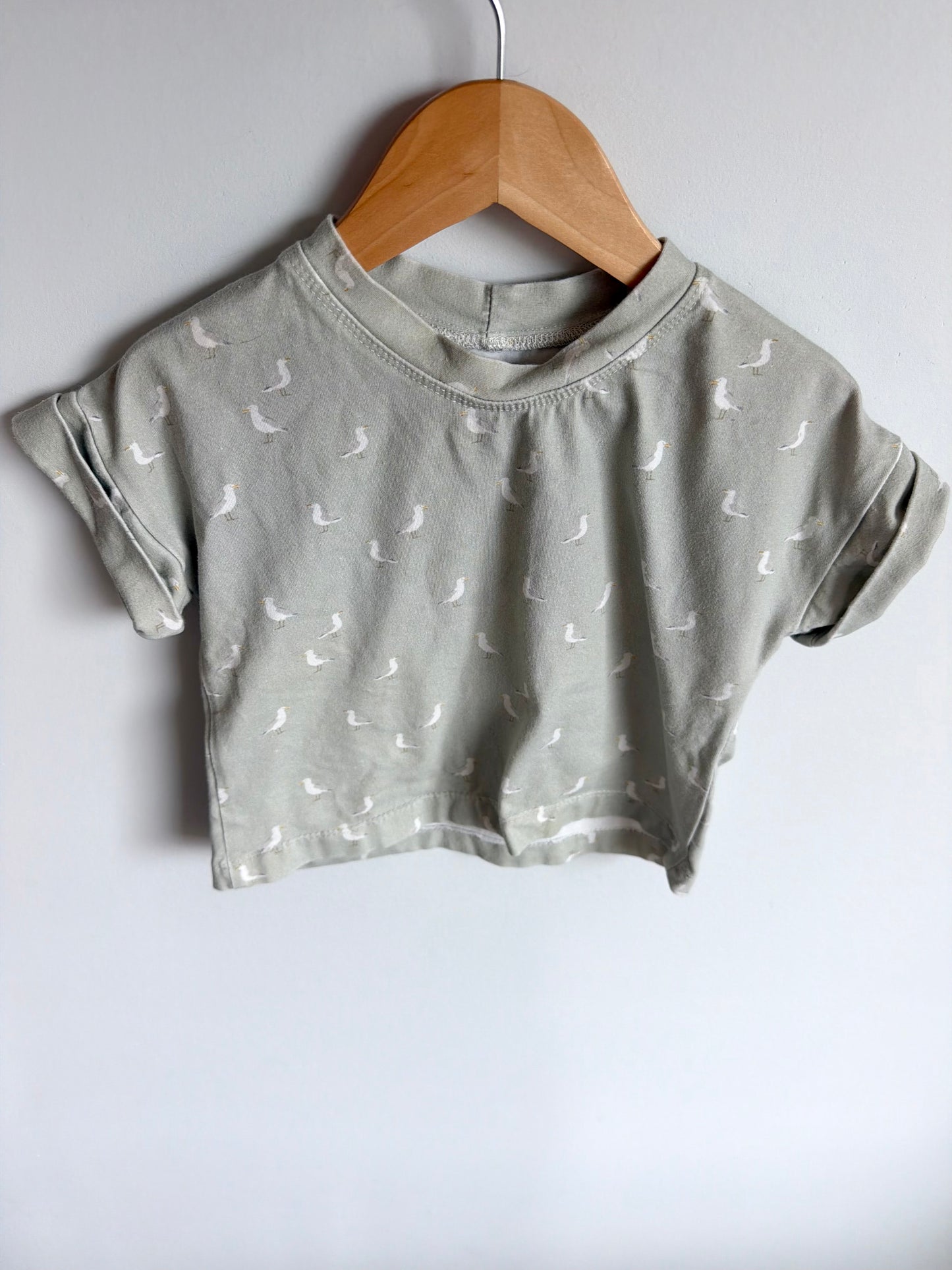 Teddy Little Sage Seagull T-shirt / 2T