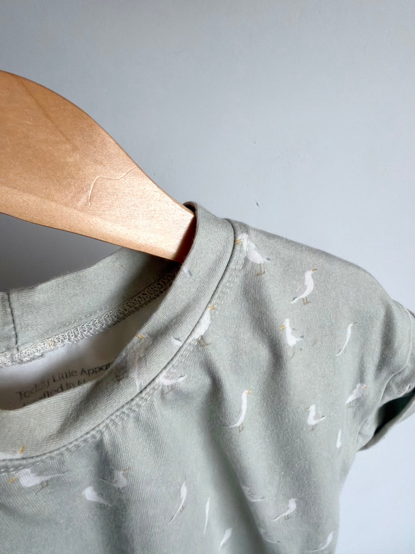 Teddy Little Sage Seagull T-shirt / 2T