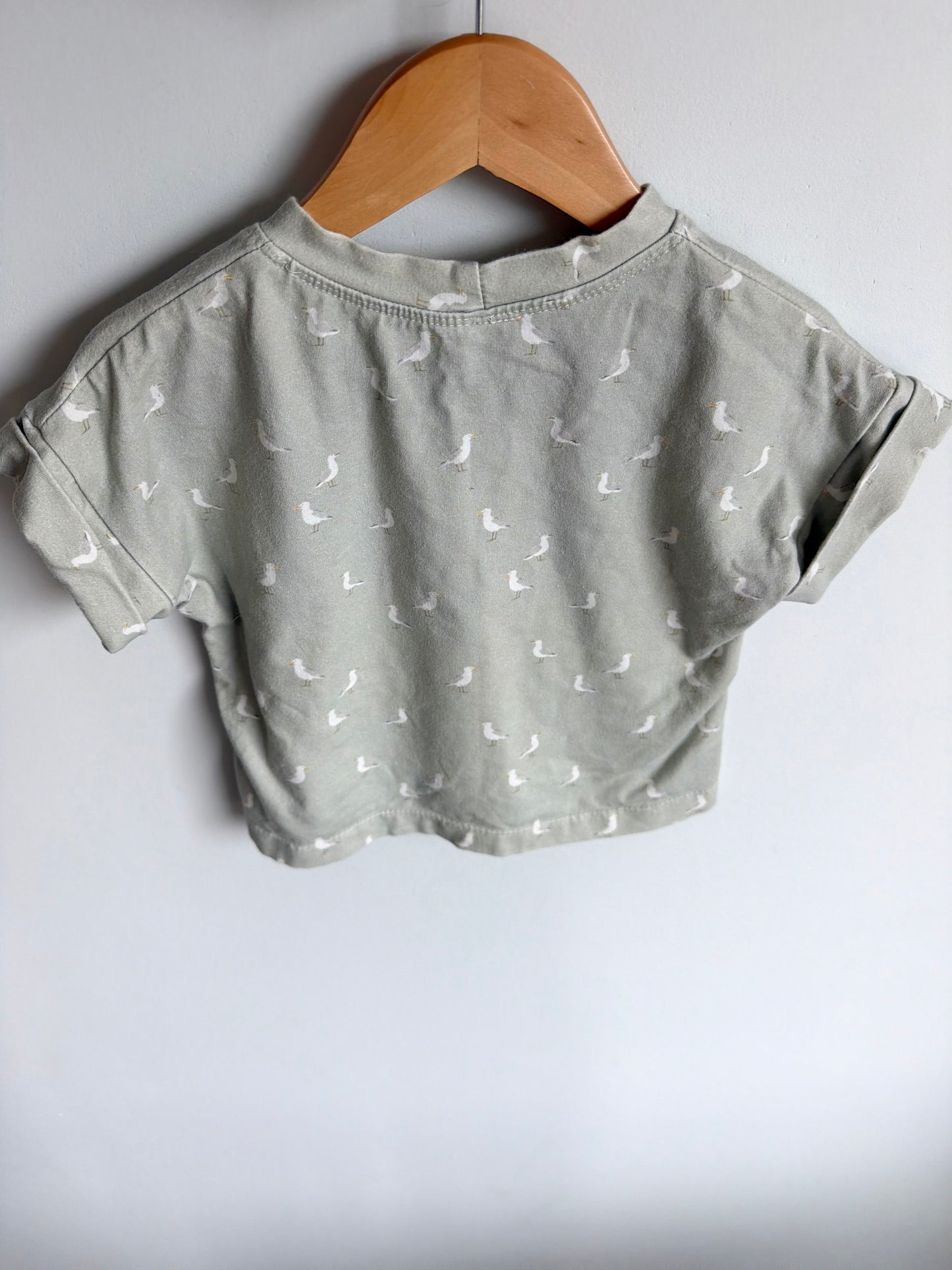 Teddy Little Sage Seagull T-shirt / 2T