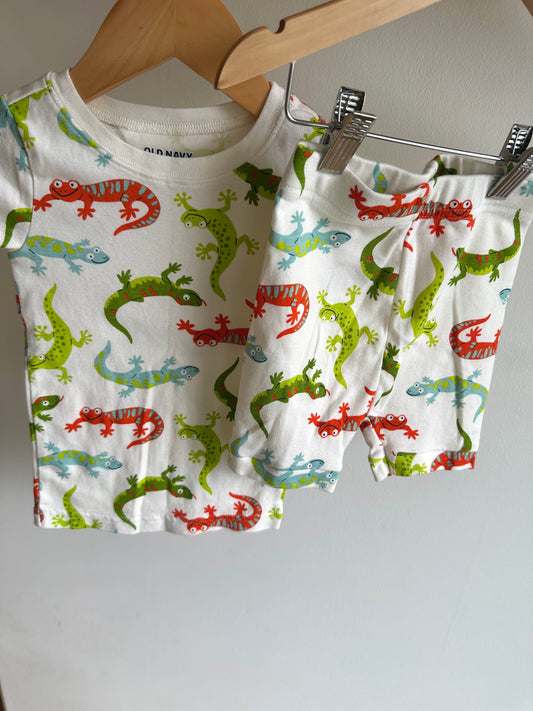 Lizard Top + Shorts Set / 2T