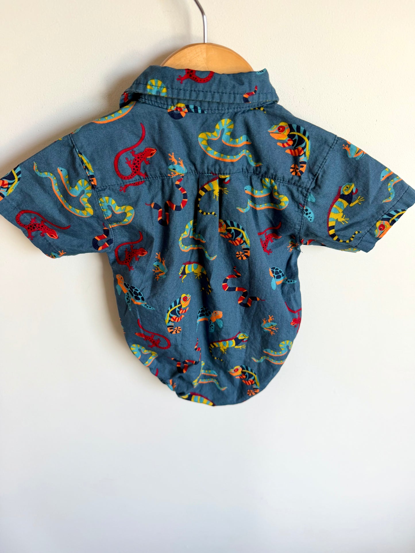Reptiles Collared Bodysuit / 6-9m