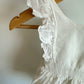 White Eyelet Dress / 12m