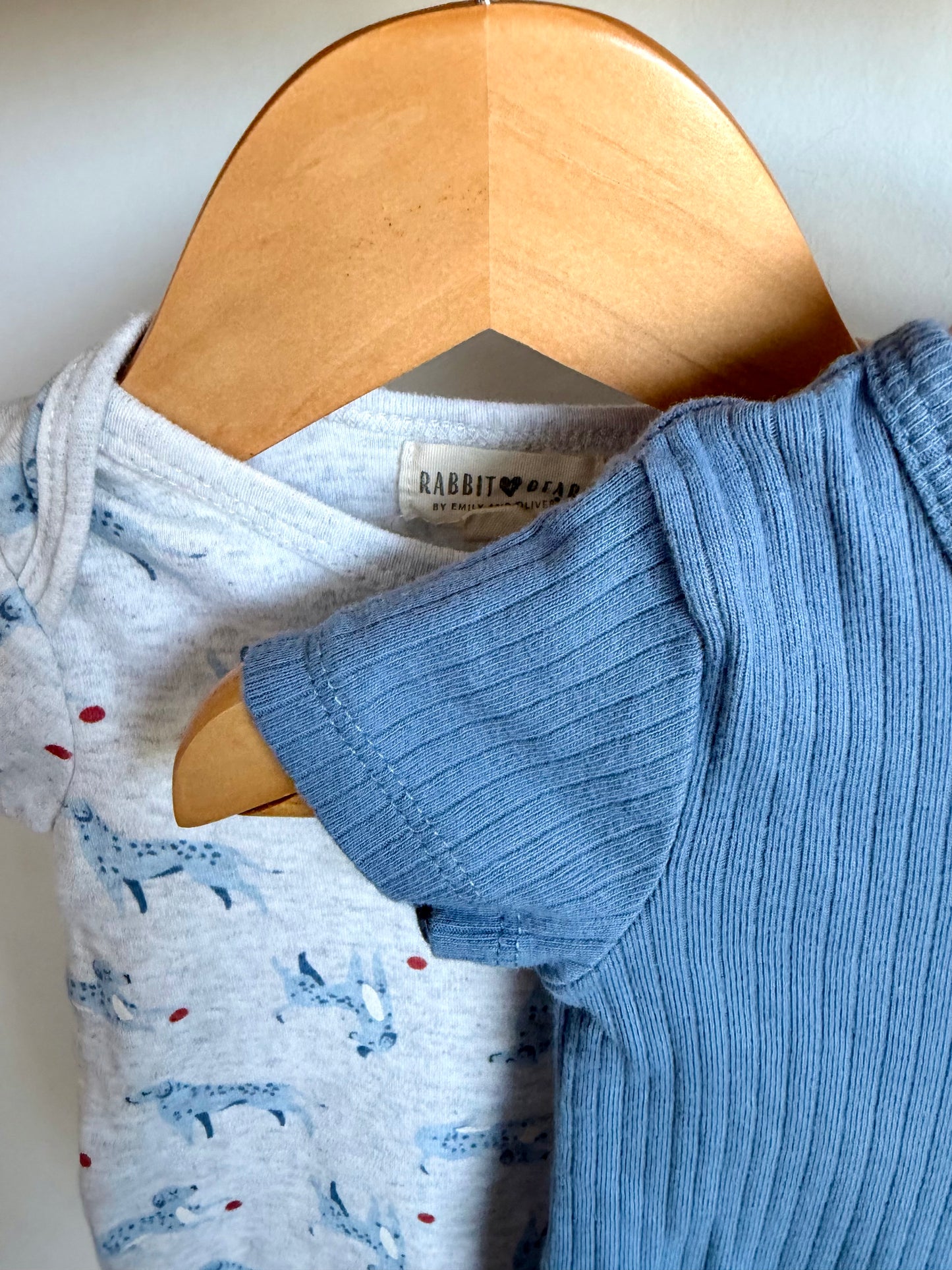 Blue Dog Bodysuits (2) / 3-6m