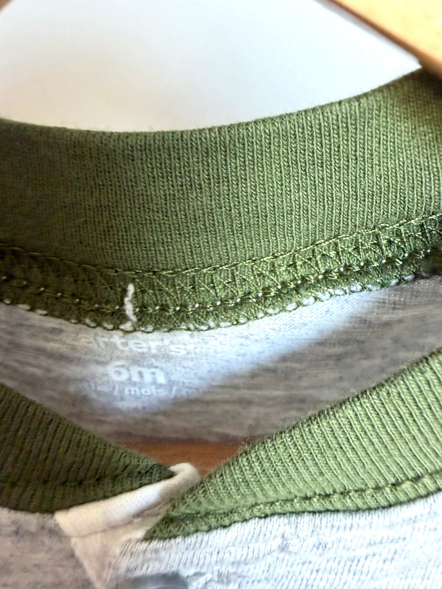 Adventure Bodysuits (2) / 6m