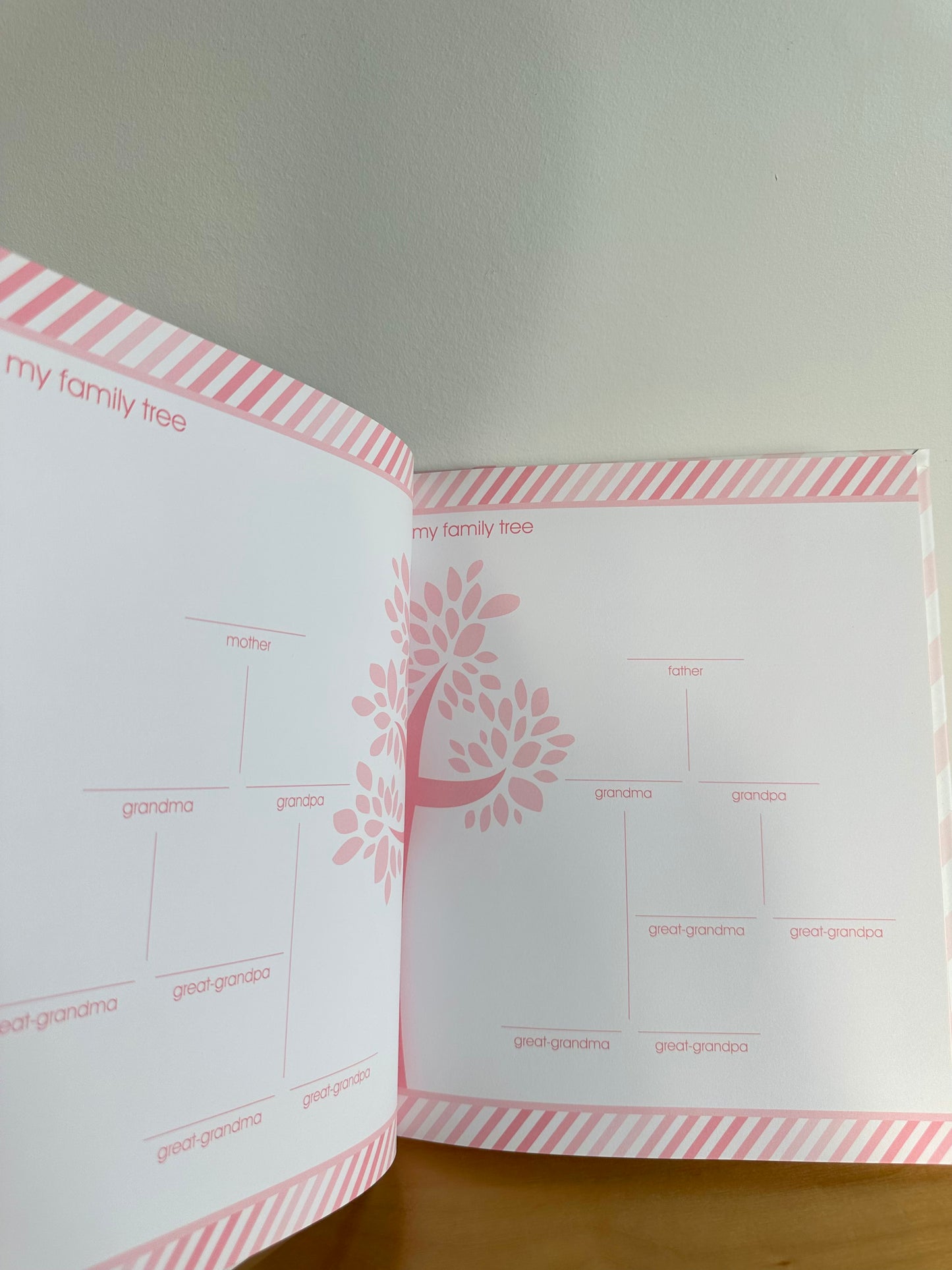 Chevron Pink Baby Book (No Shipping)