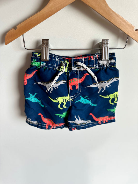 Colorful Dino Swim Shorts / 9m