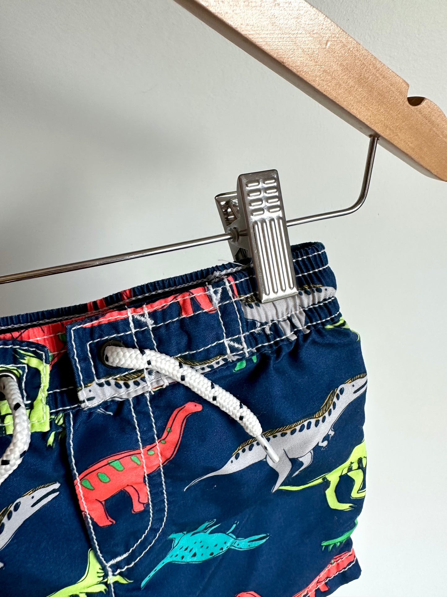 Colorful Dino Swim Shorts / 9m