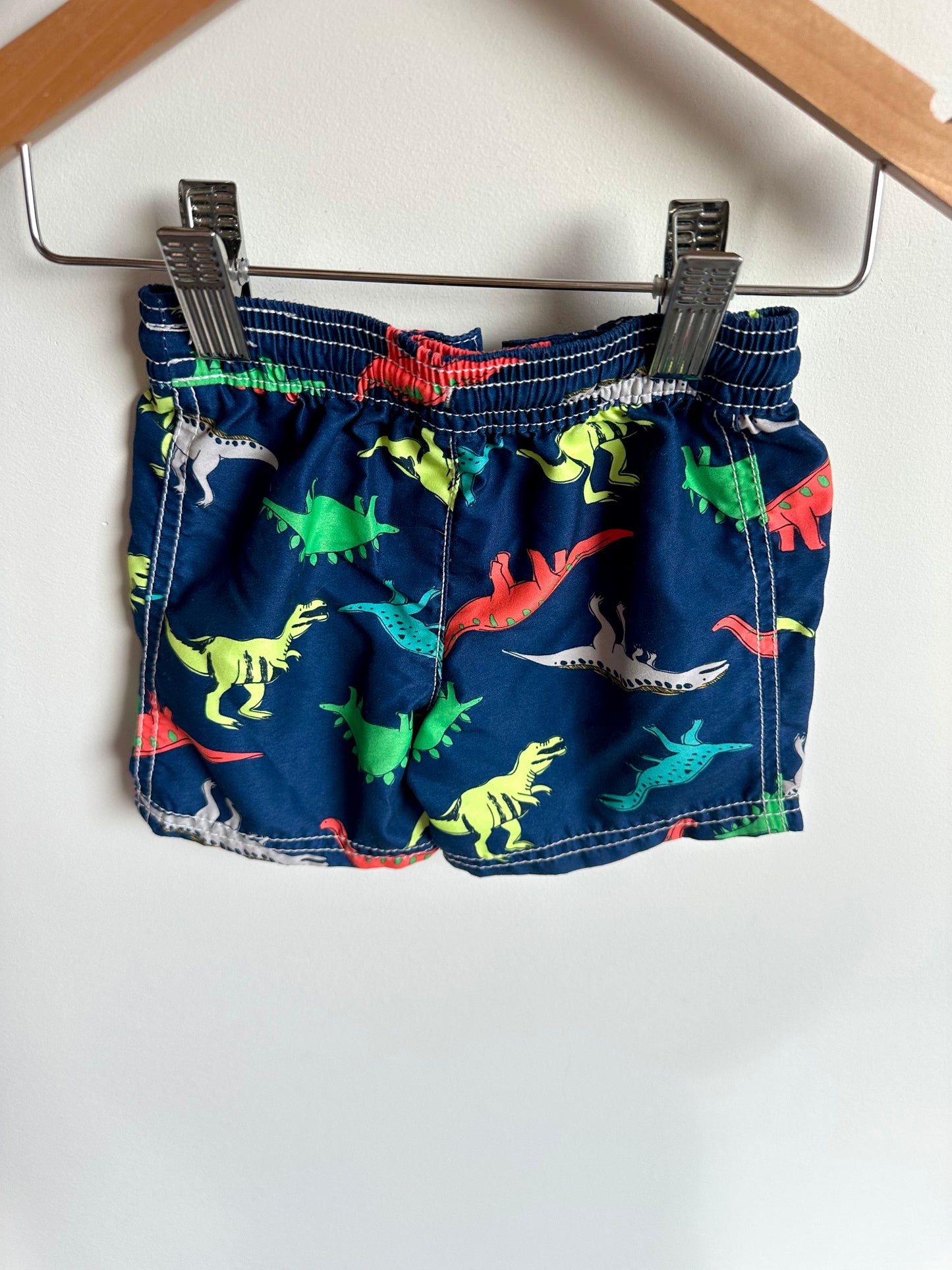 Colorful Dino Swim Shorts / 9m