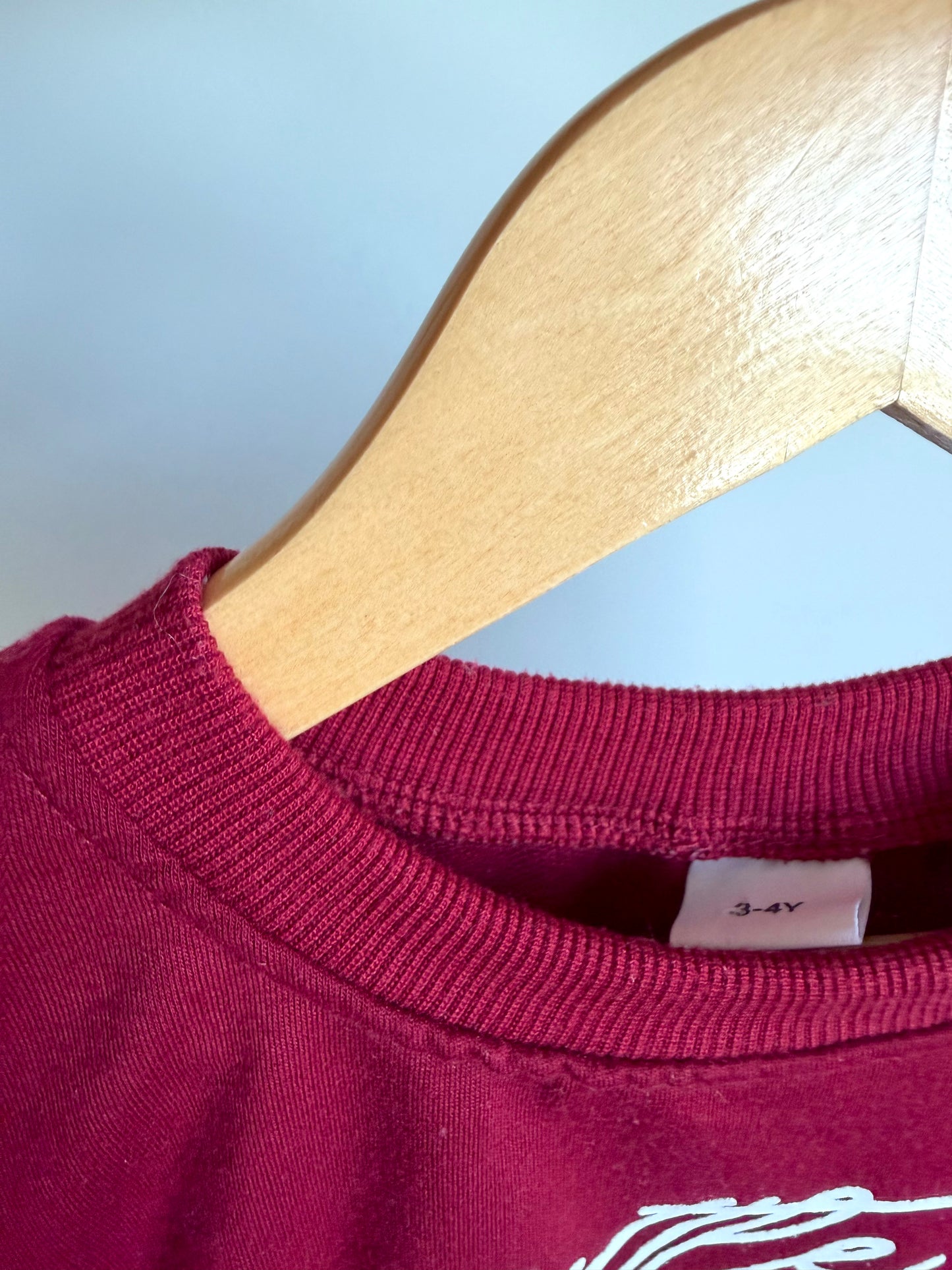 Little Love Crew Neck Sweater / 3-4T