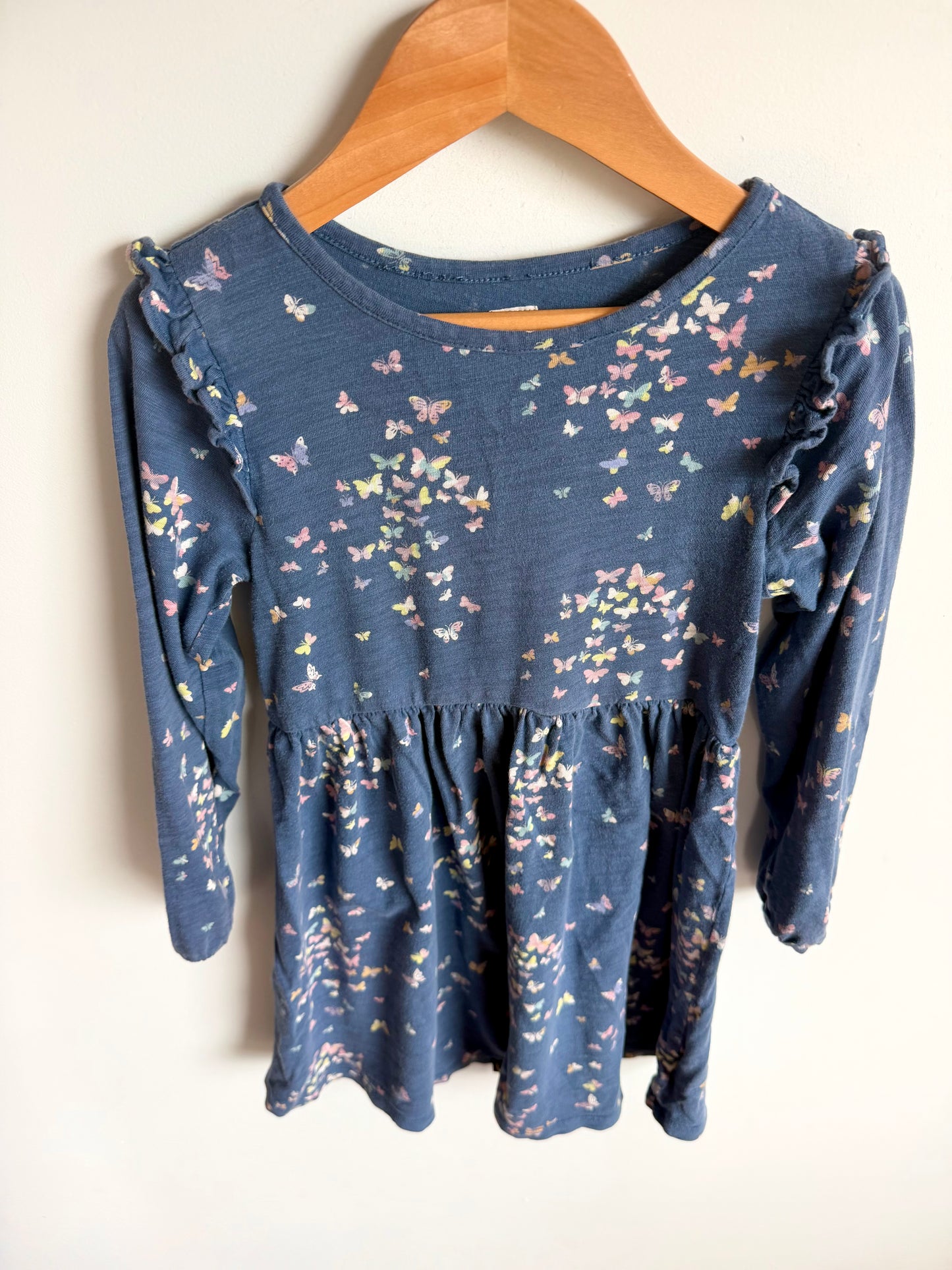 Butterfly Long Sleeve Dress / 4T