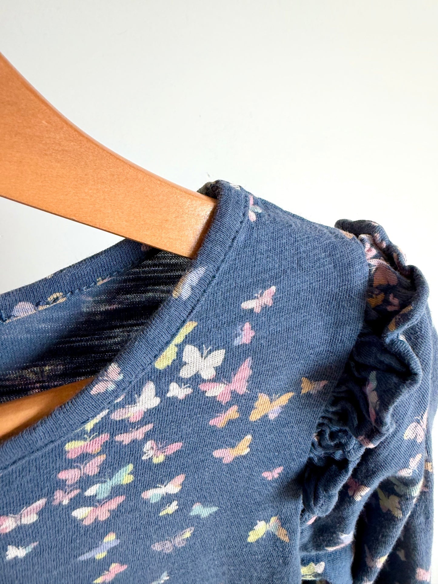 Butterfly Long Sleeve Dress / 4T