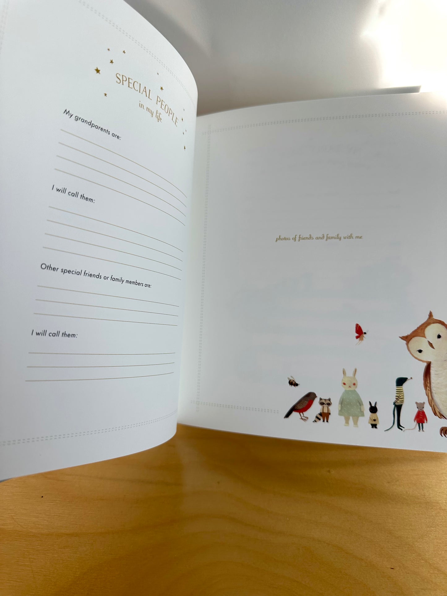 Milestone Baby Book (No Shipping)